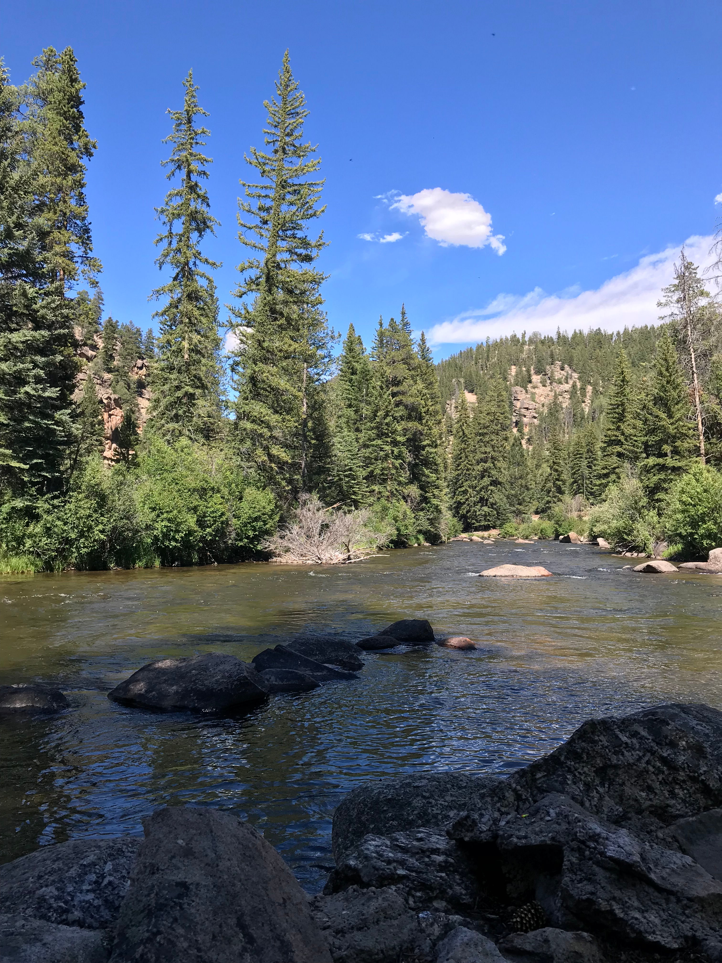 Rosy Lane Campground
