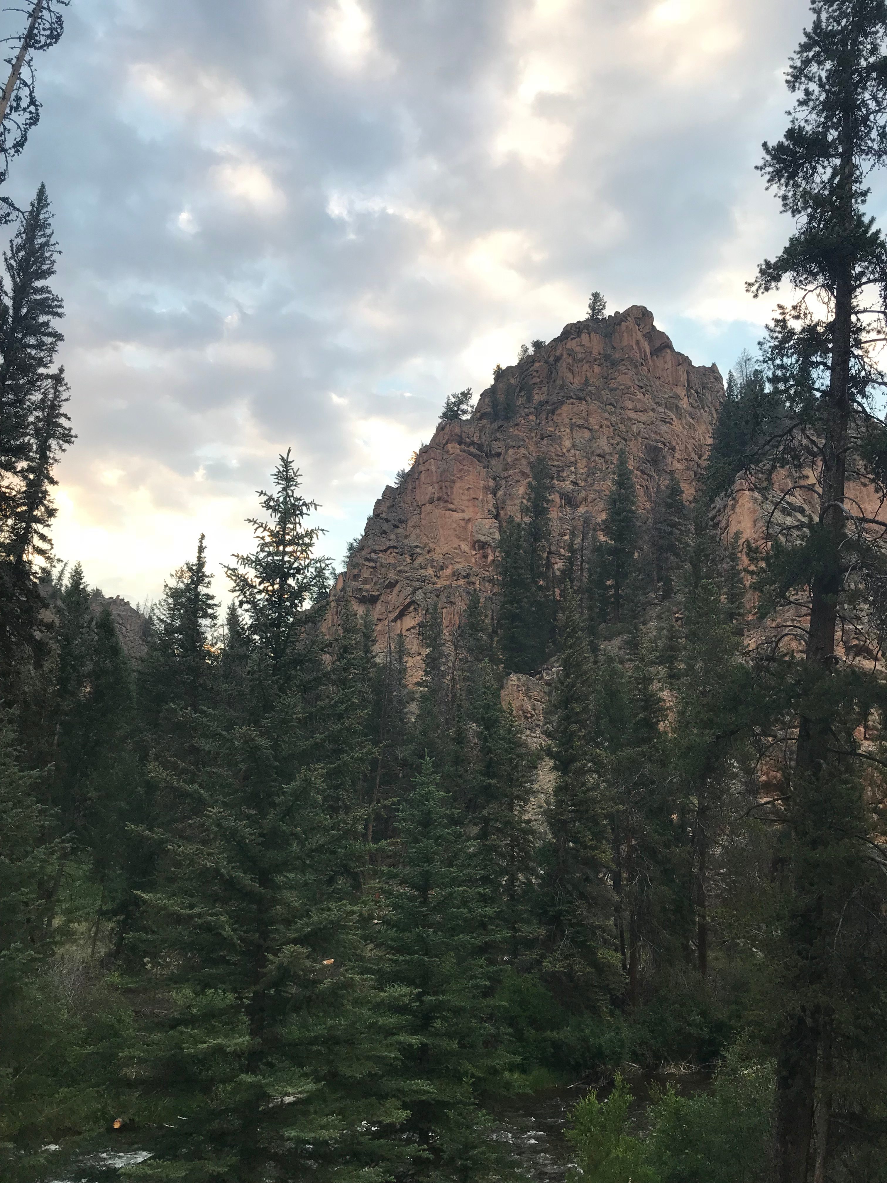 Gunnison National Forest