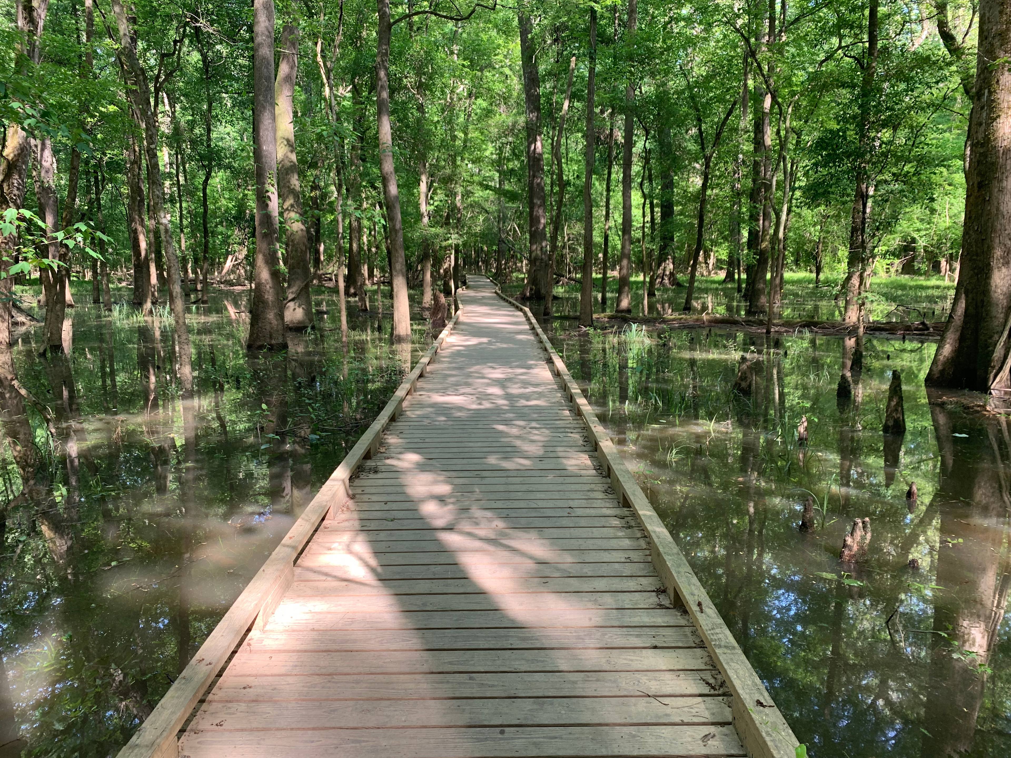 You can run the boardwalk until you hit the back trails