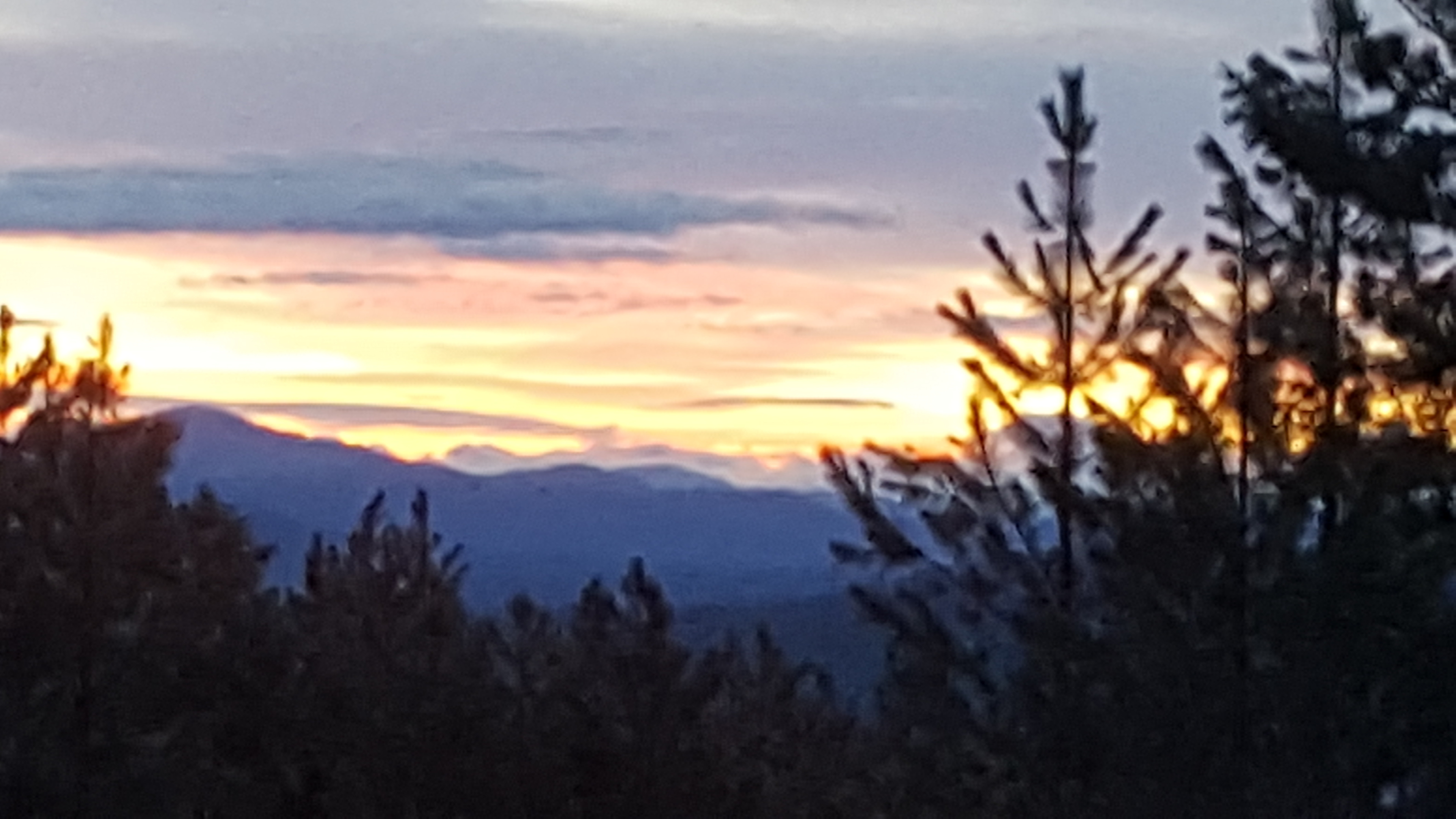 Morning view from the deck