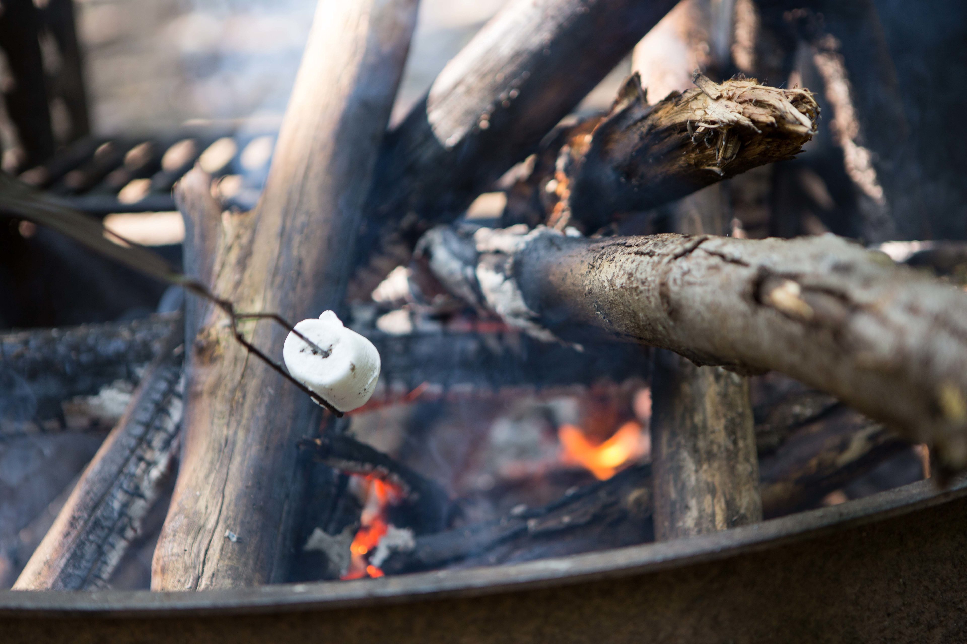 Making smores