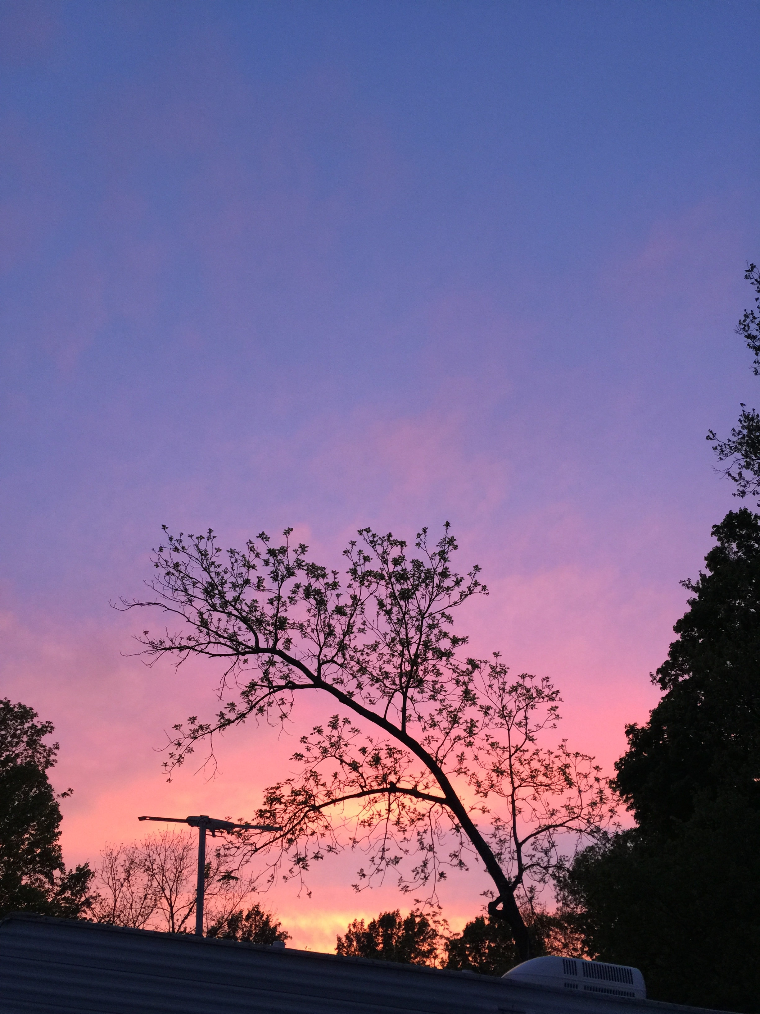 Cowan Lake Campground