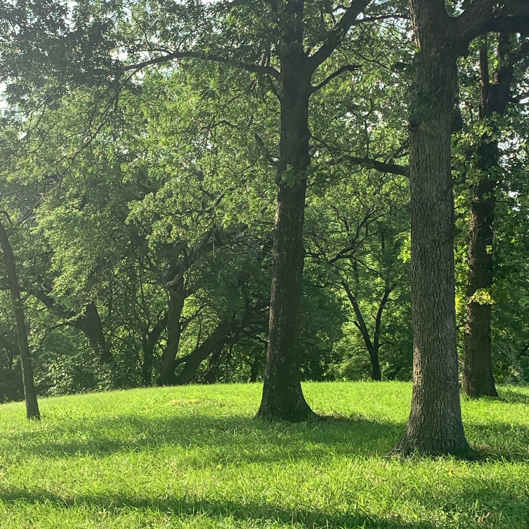 Typical scene on the property