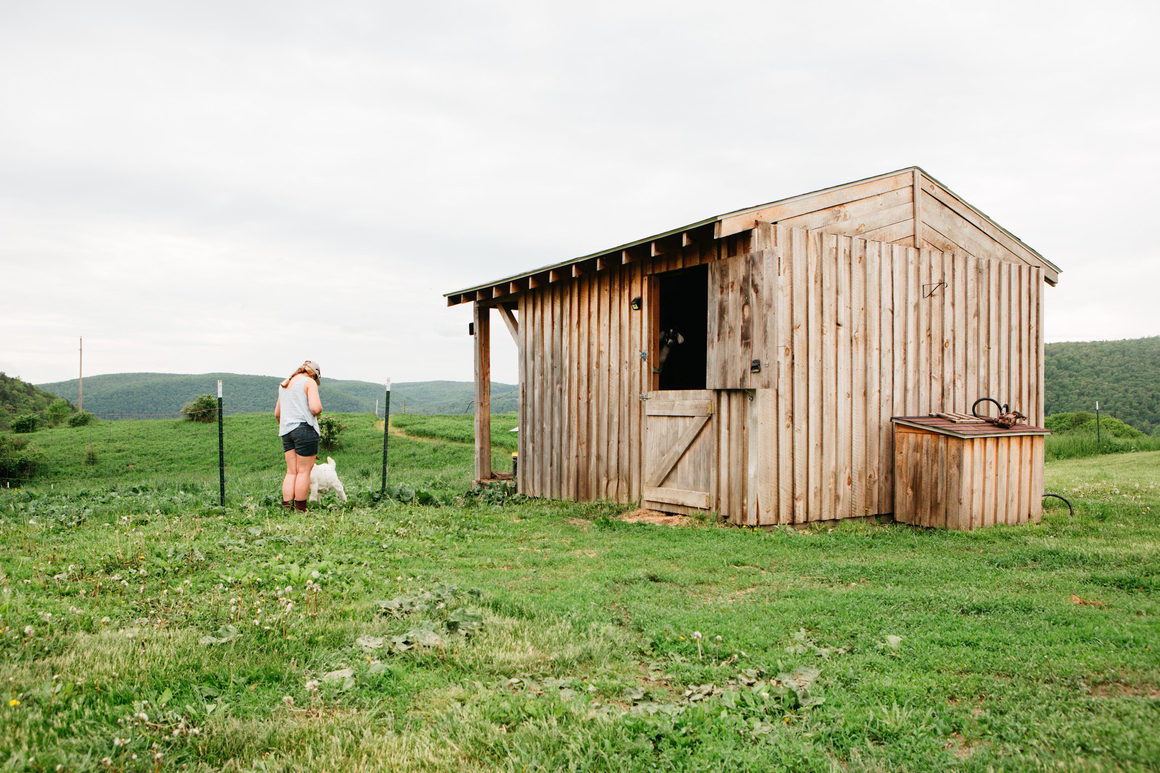 Where a portion of the goat herd reside on the property. 
