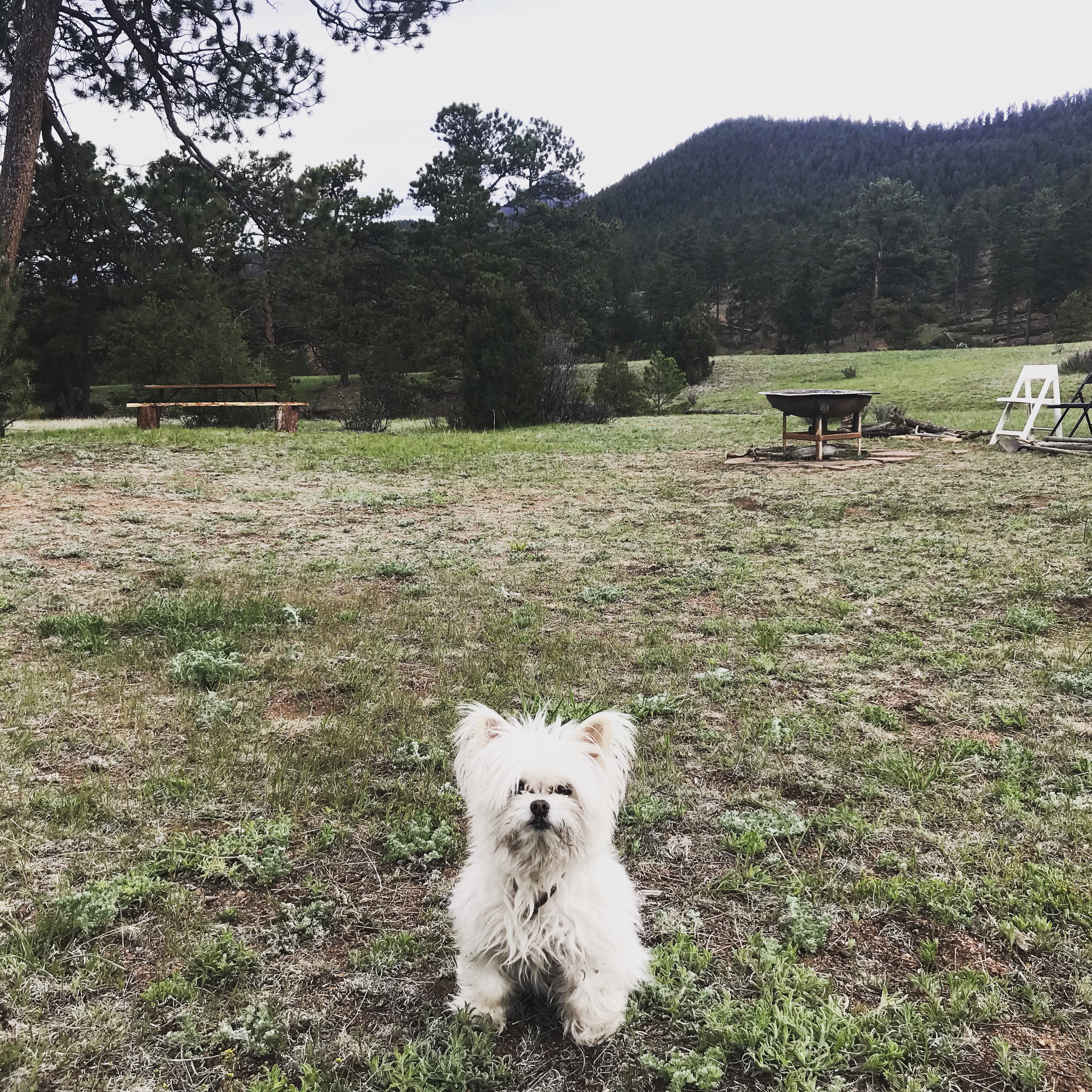 Resort Valley Ranch East