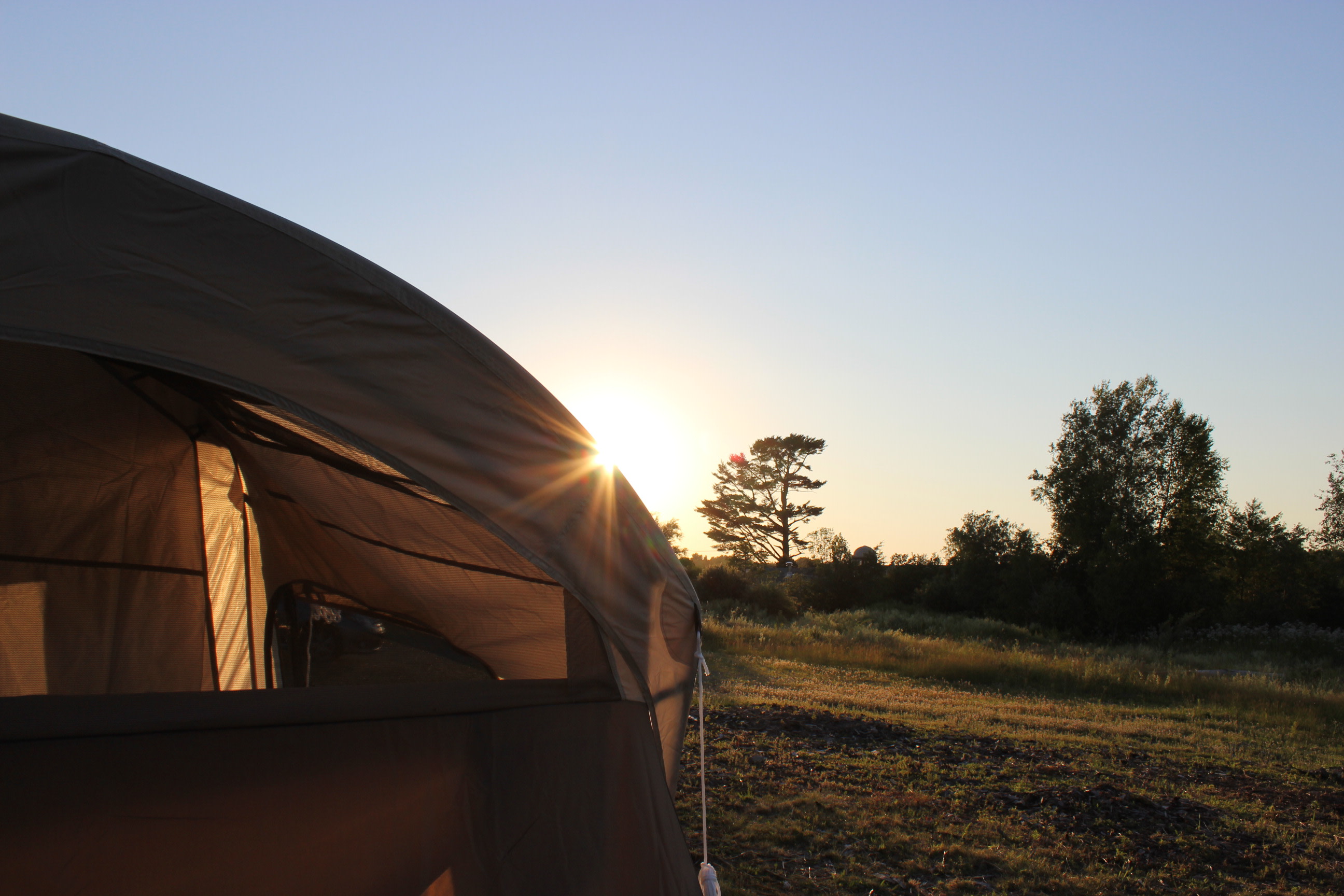 Camping With Wolves, Acadia Area