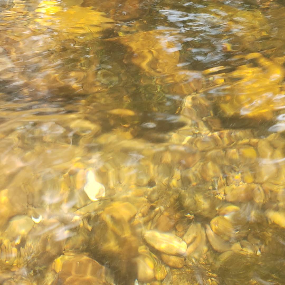 Shanklin's Ferry Campground