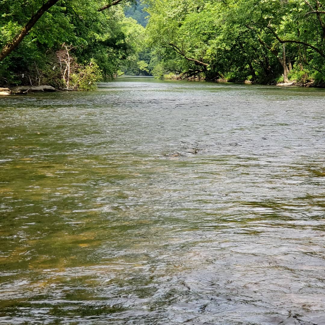 Shanklin's Ferry Campground
