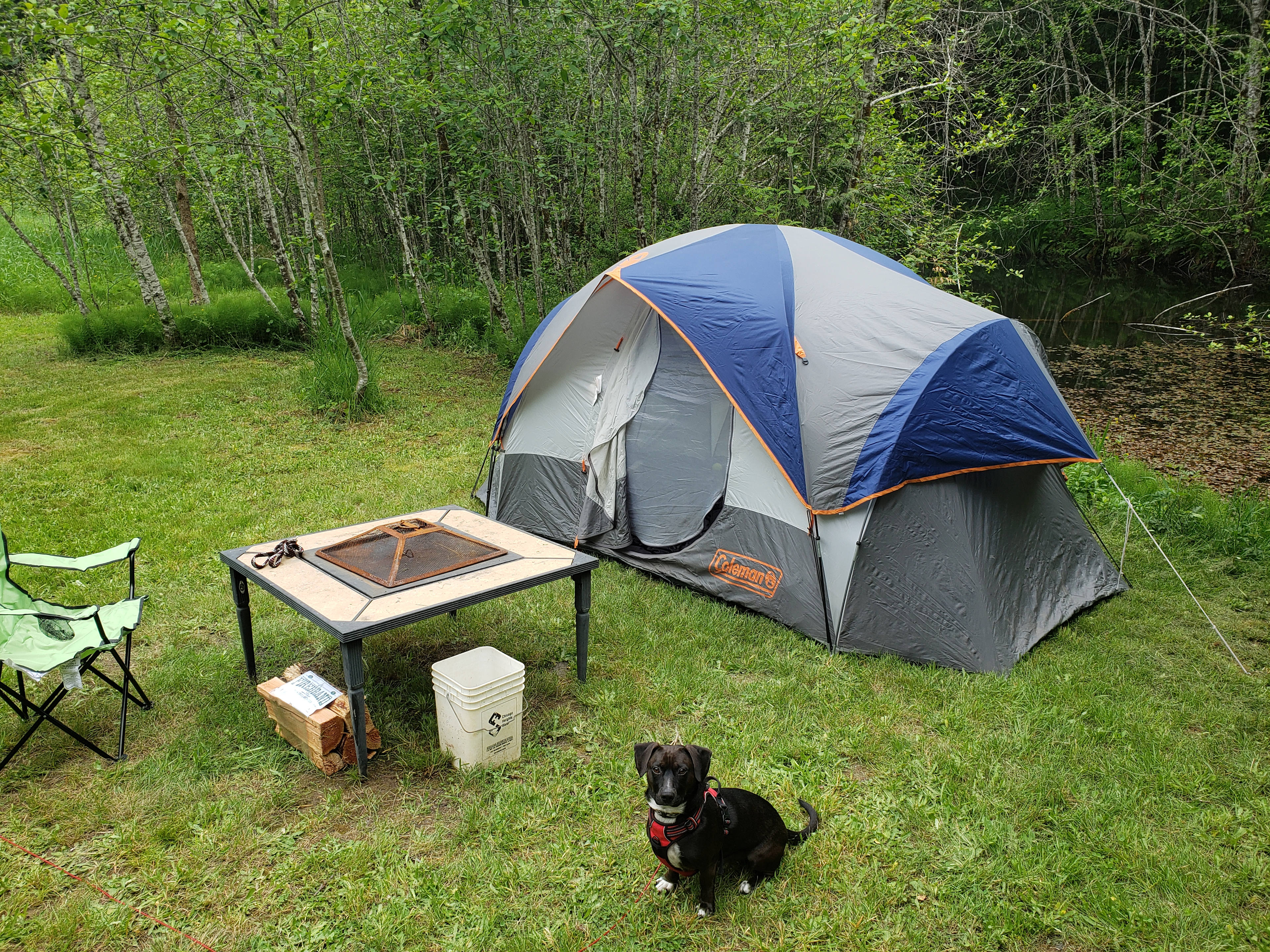 James & Patricia's Oasis