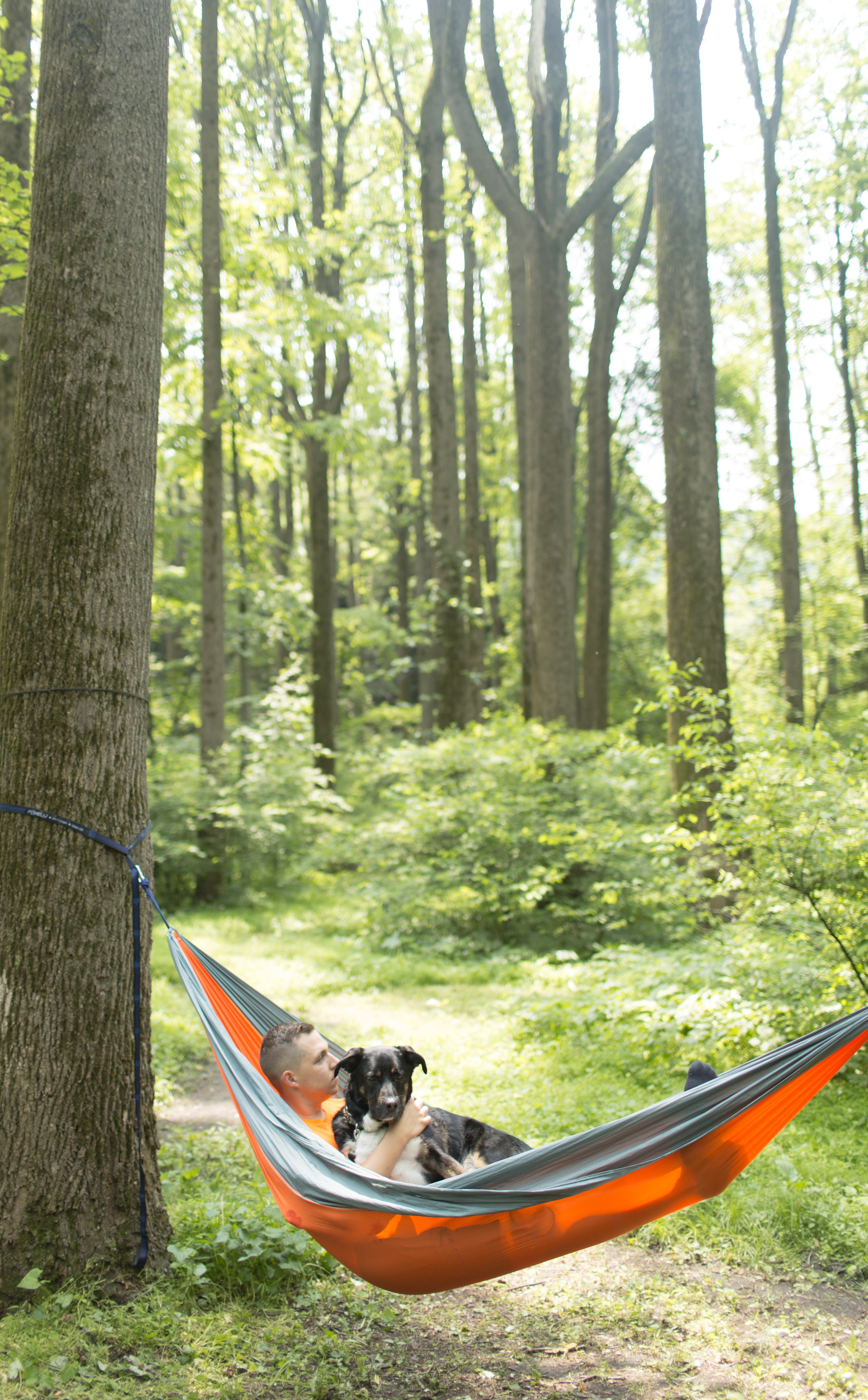 Plenty of wonderful hammocking trees surround the camping site.