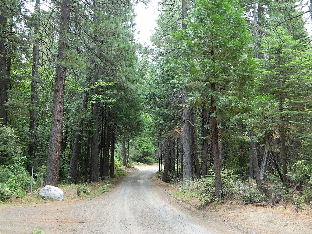 Half mile from pavement; even the BMW can make it