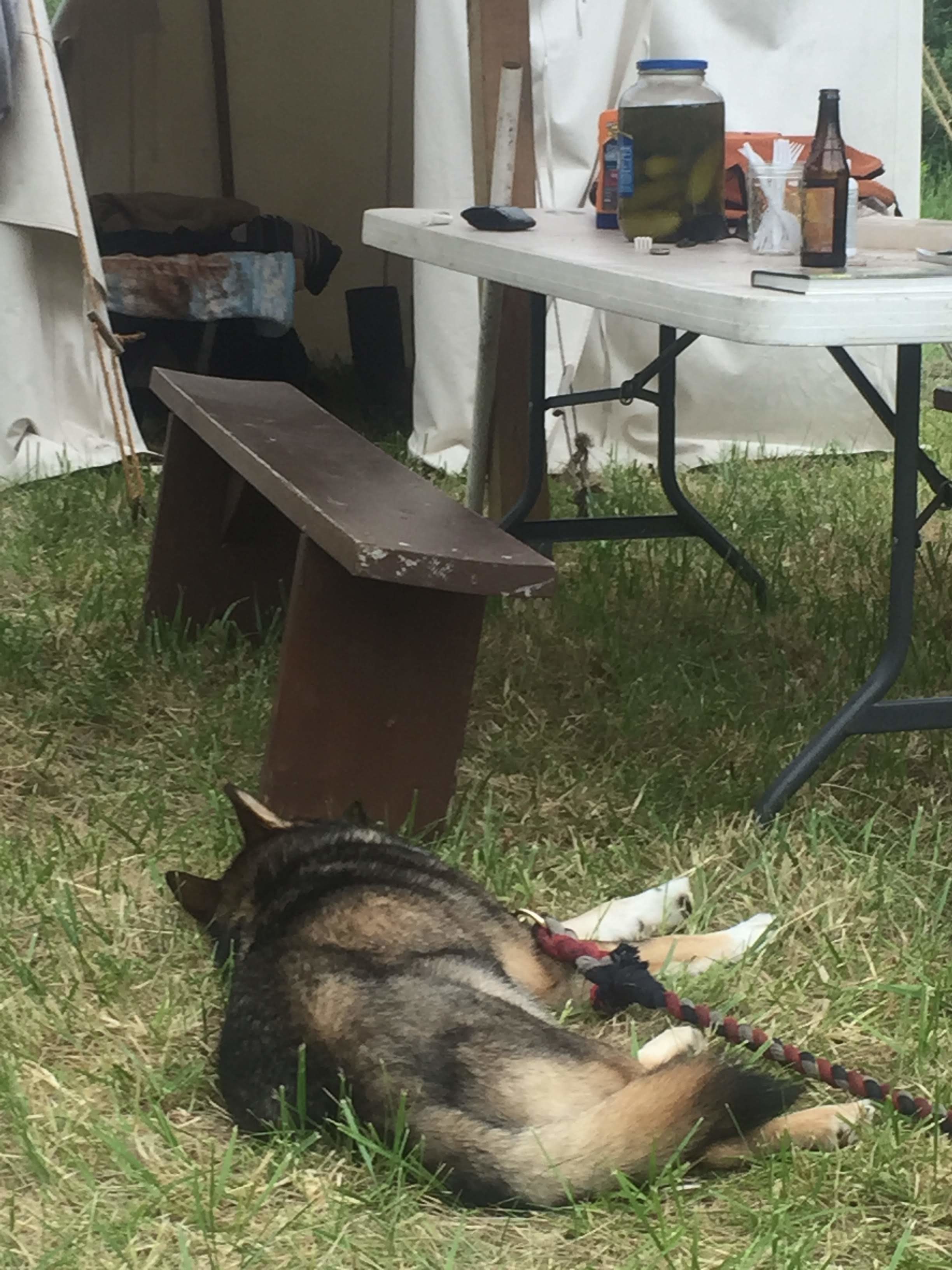 Dogs are welcome if well behaved and on a leash.