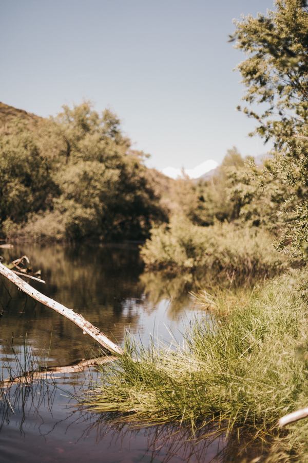 Lake views