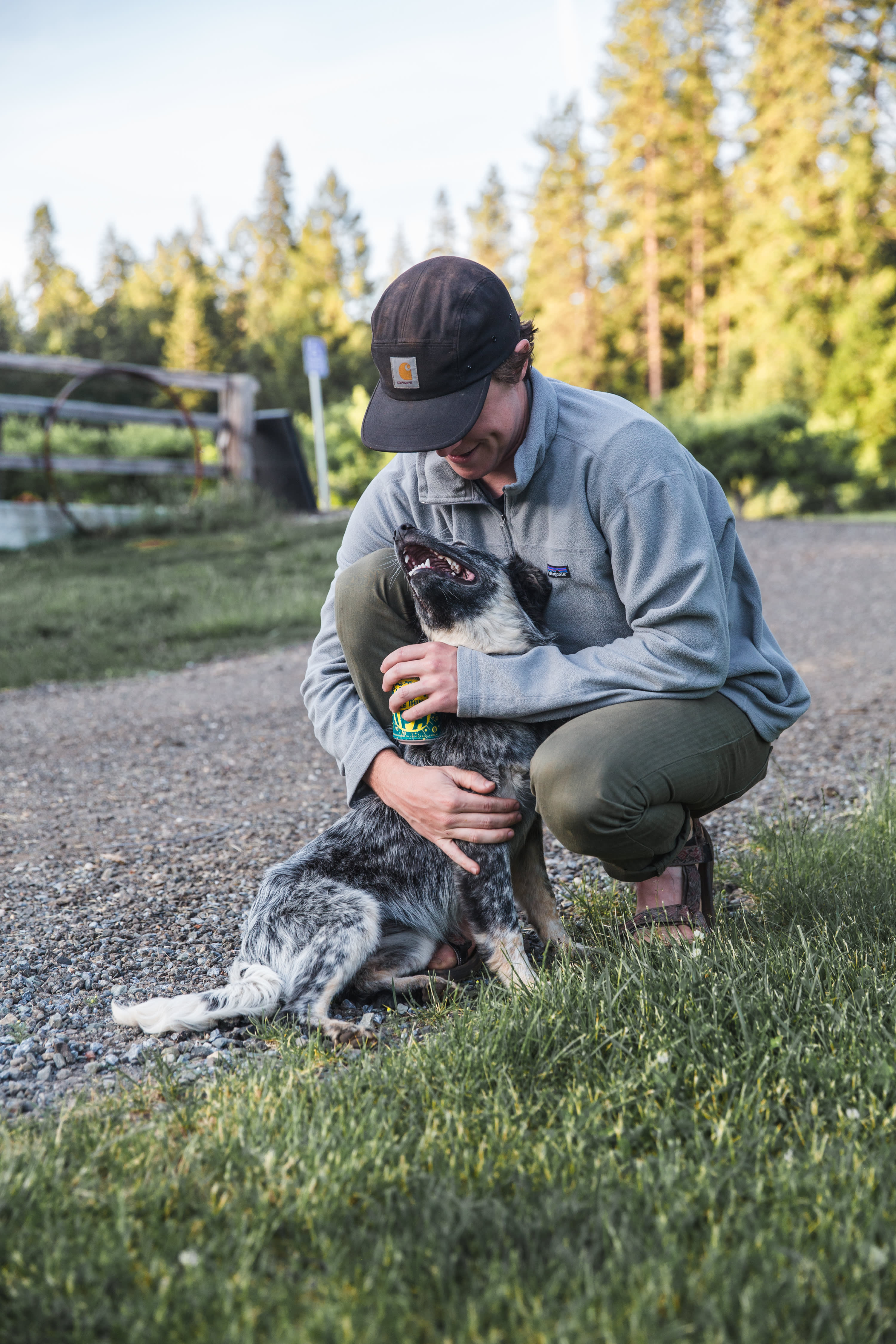 Harris Family Farm and Forest
