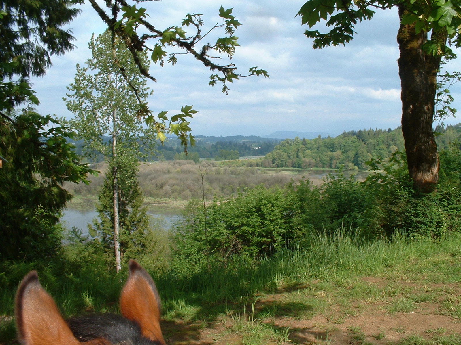  View East to La Center