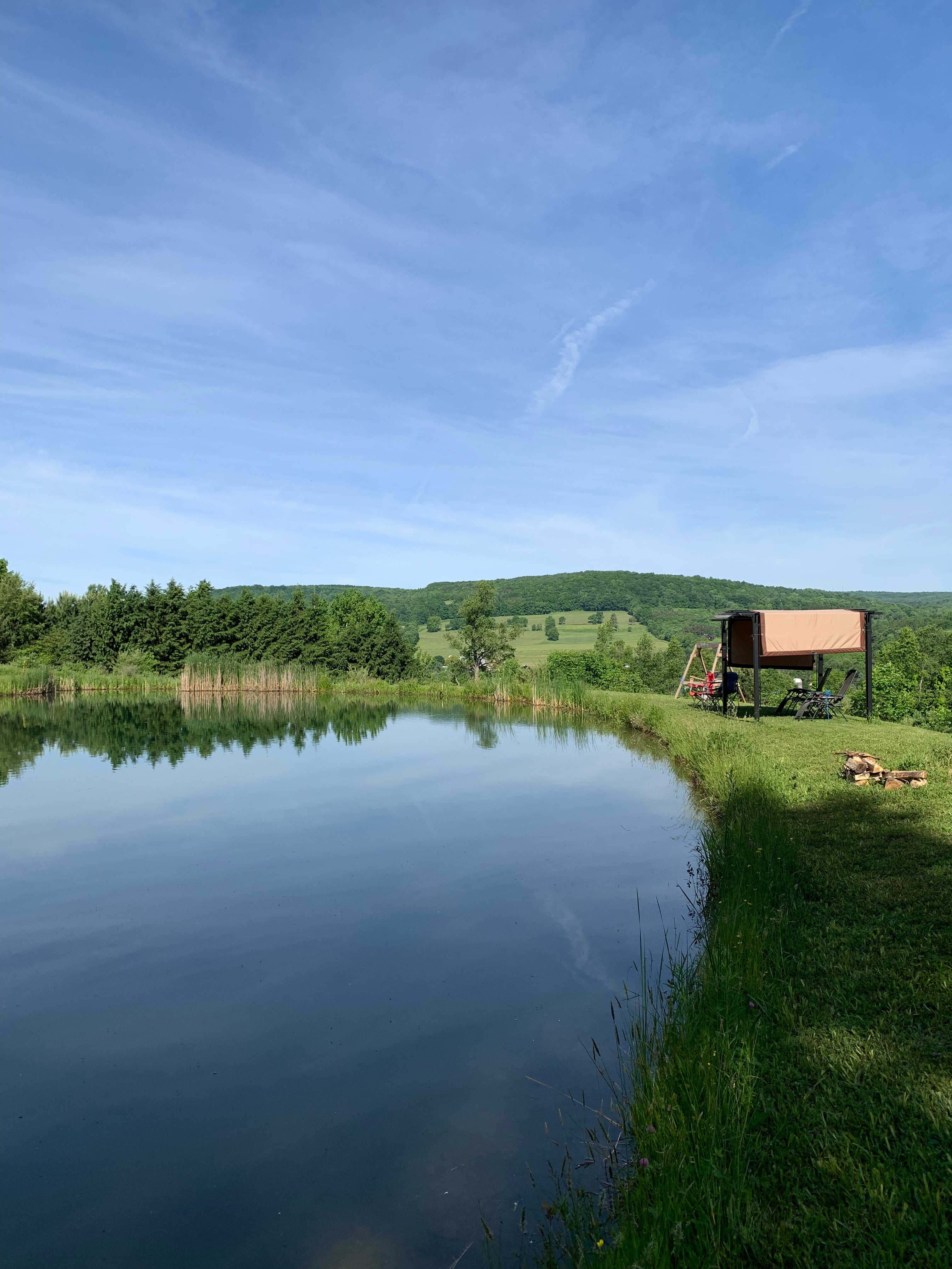 Hillside Pond with a View