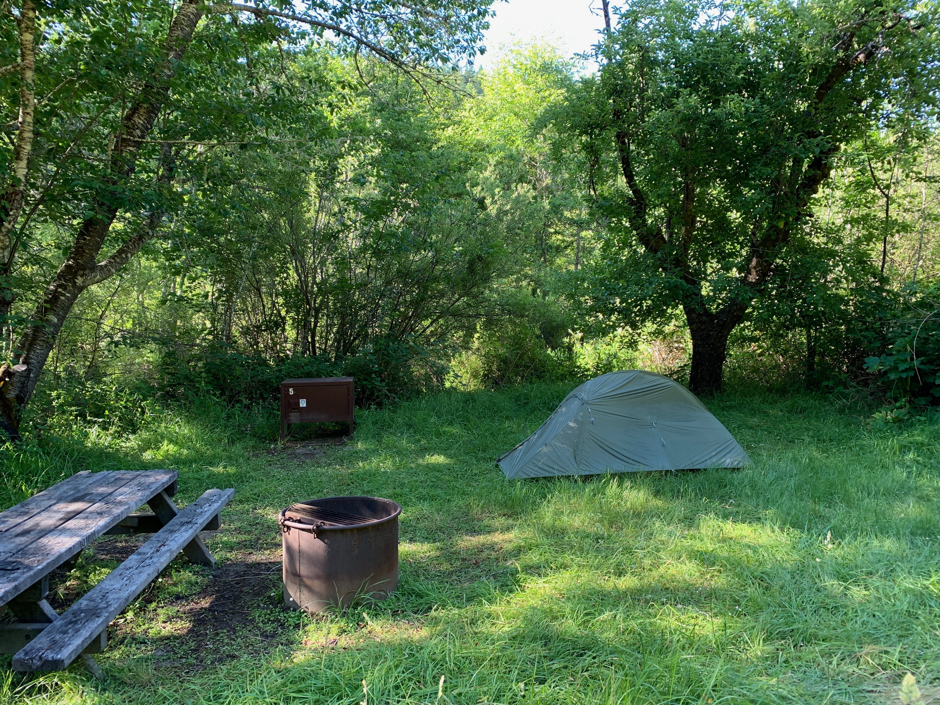 Campsite #5, the smallest site (and wettest, since it's in the meadow near the river).