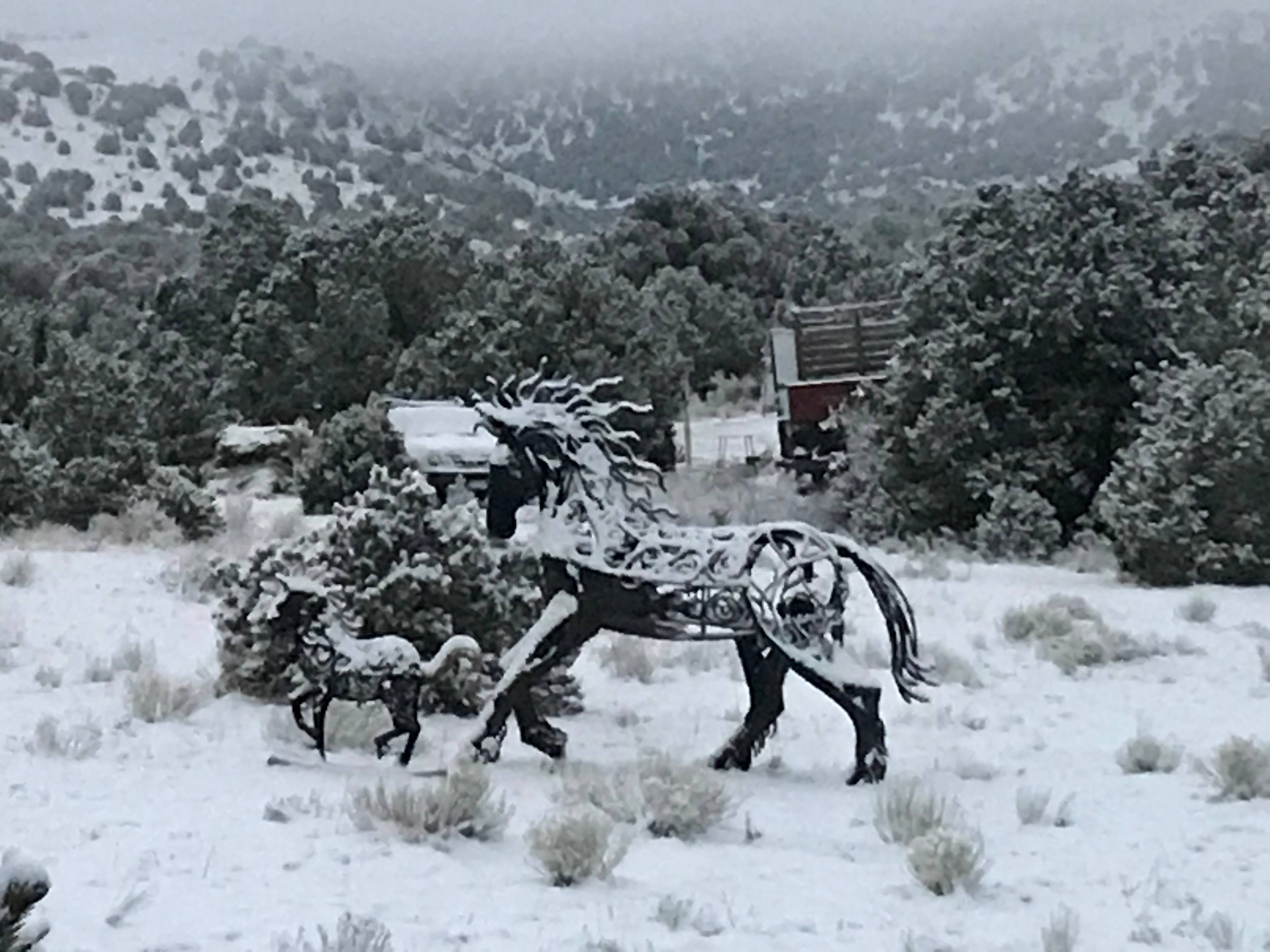 Steel horses frozen steel n time