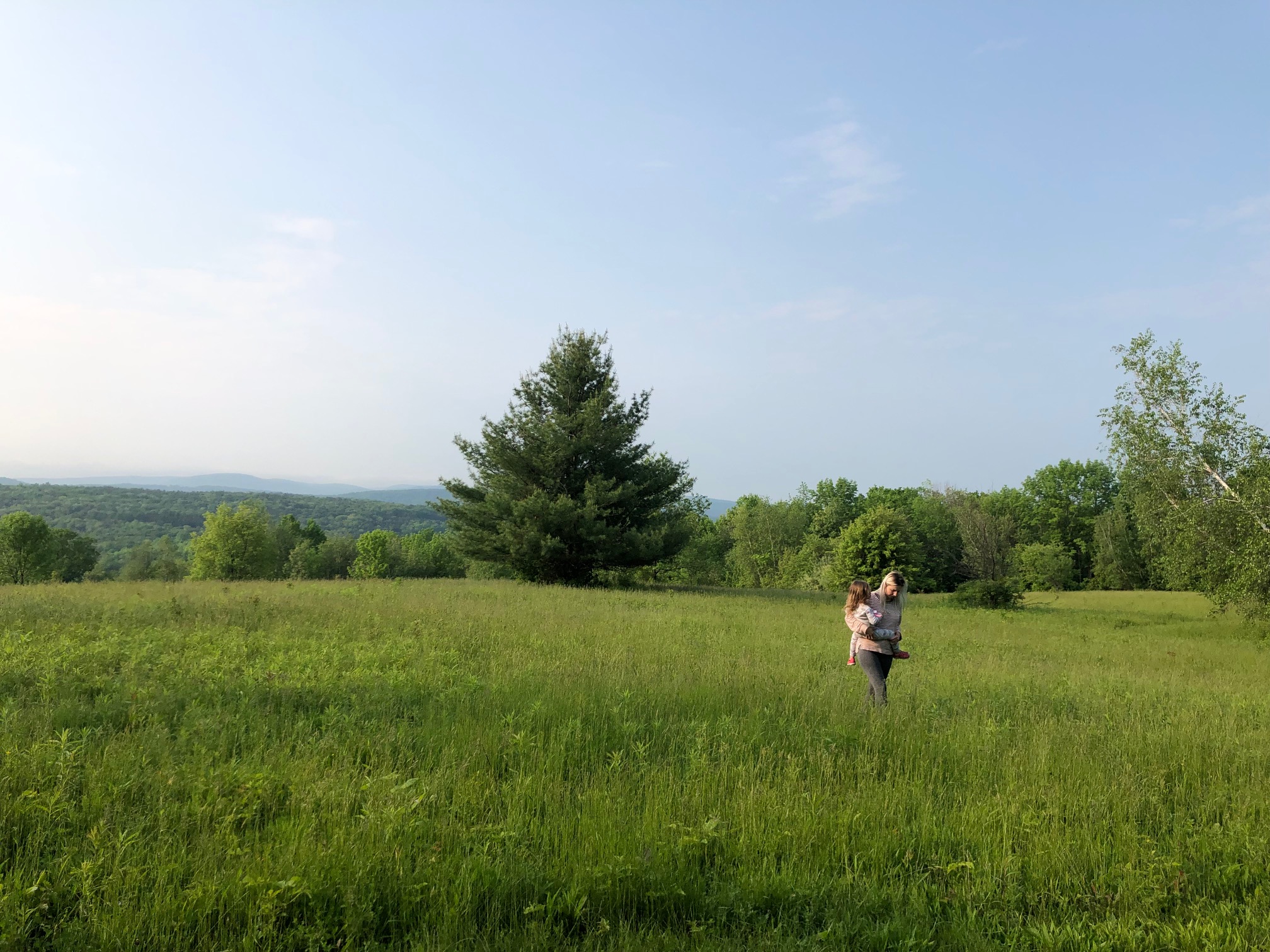 New Lebanon Fields