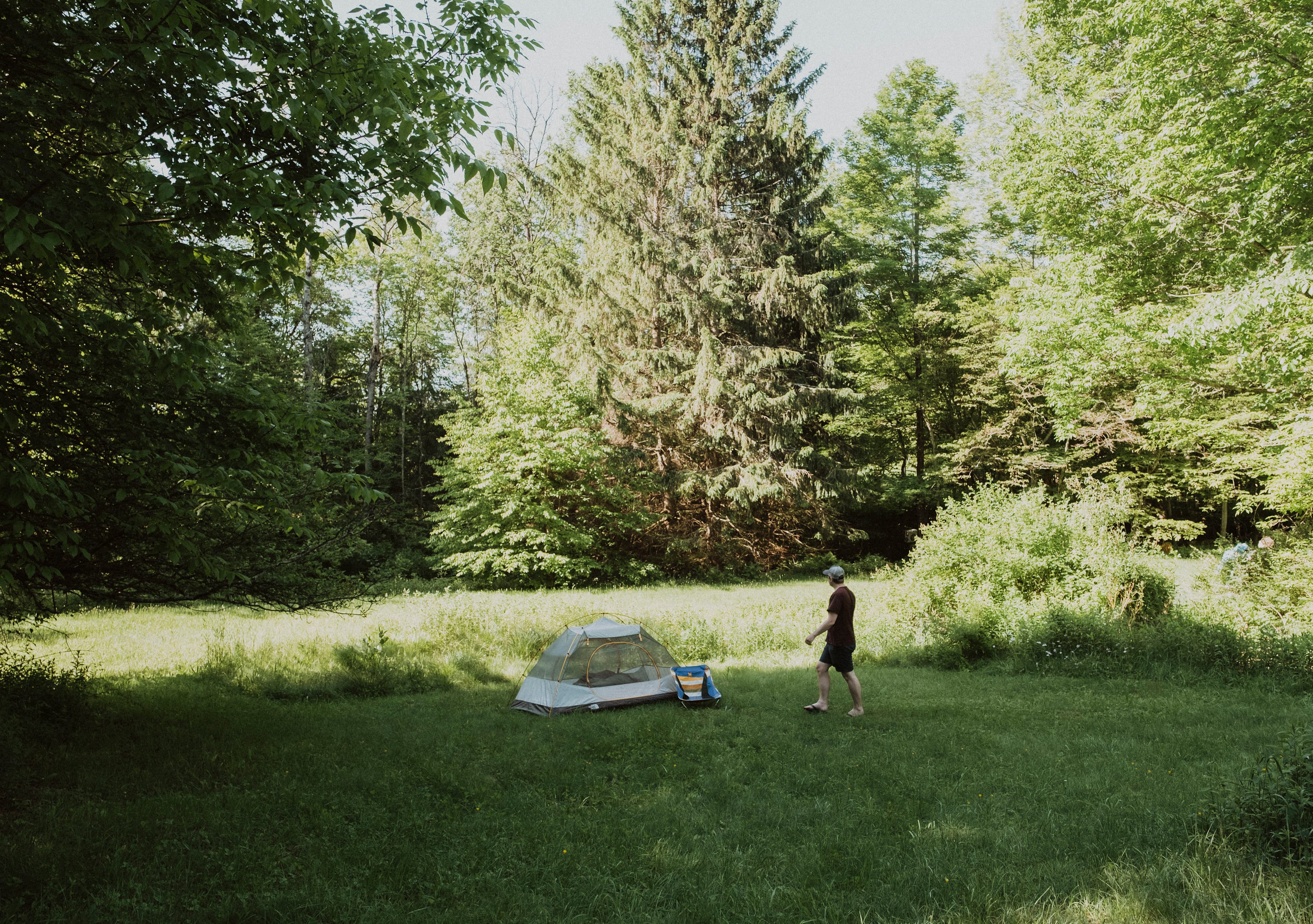 Big open spaces to pitch your tent. 
