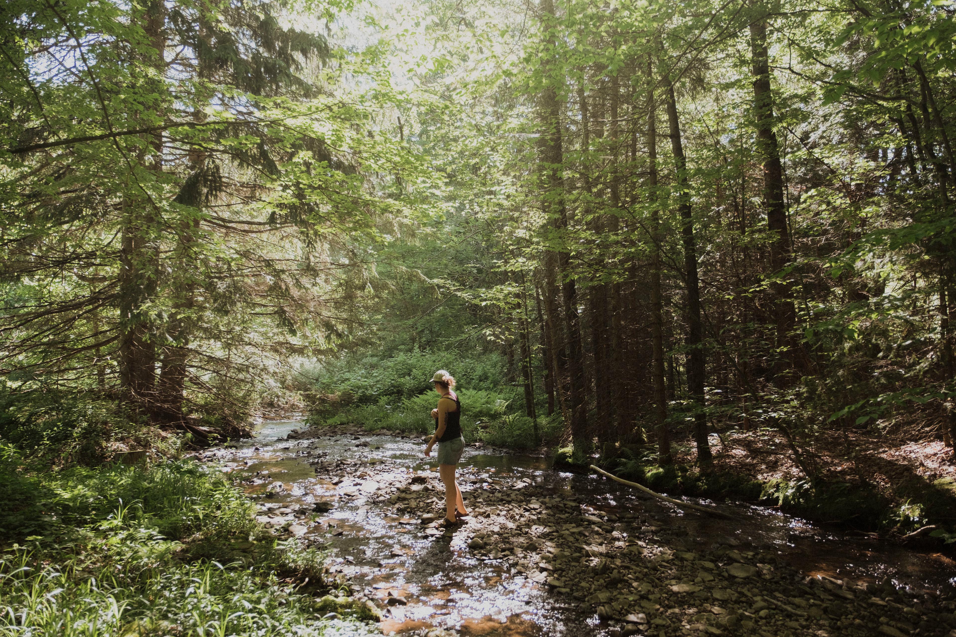 Gorgeous creek you can dip your toes in. 