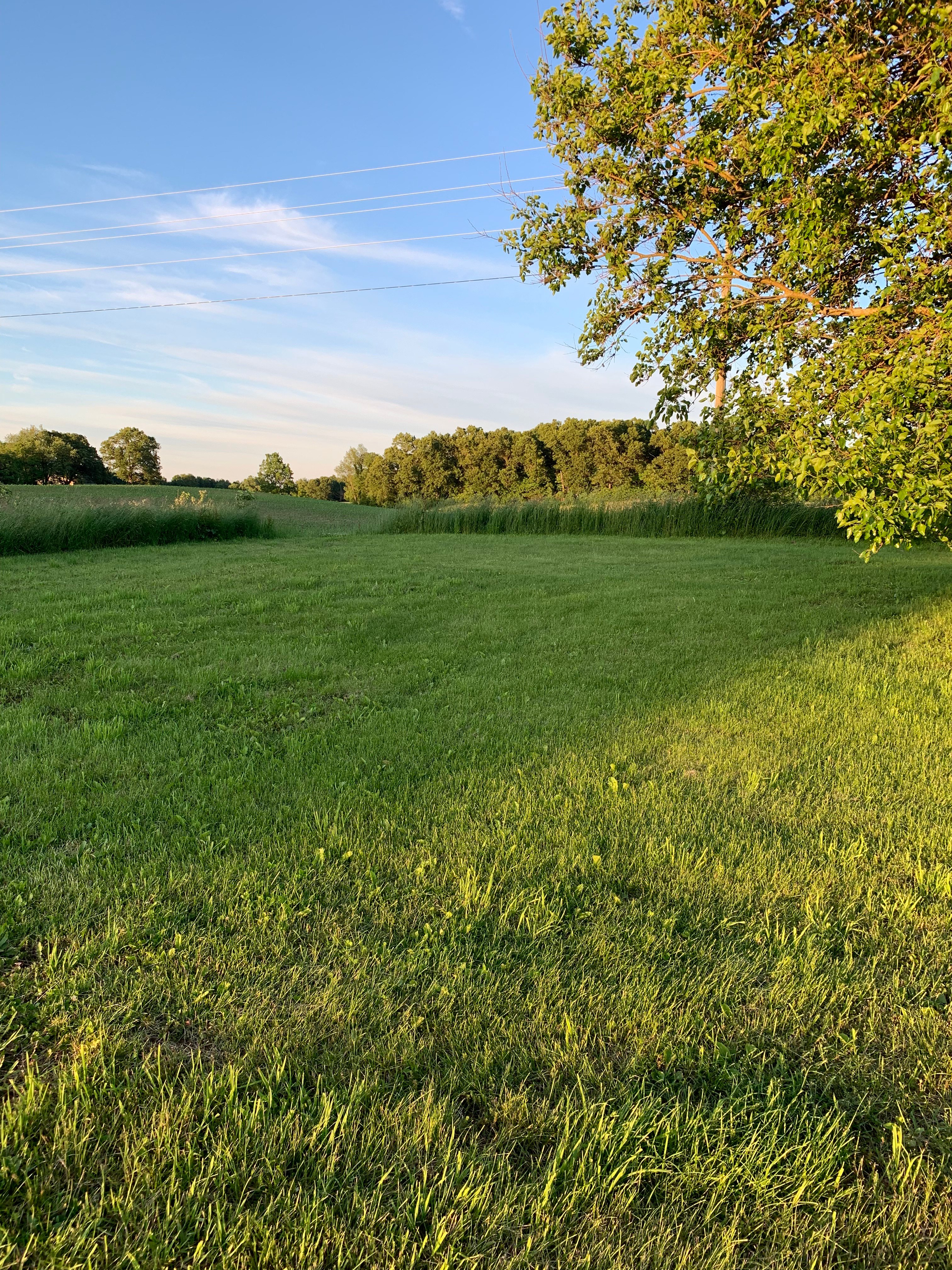 Camp area