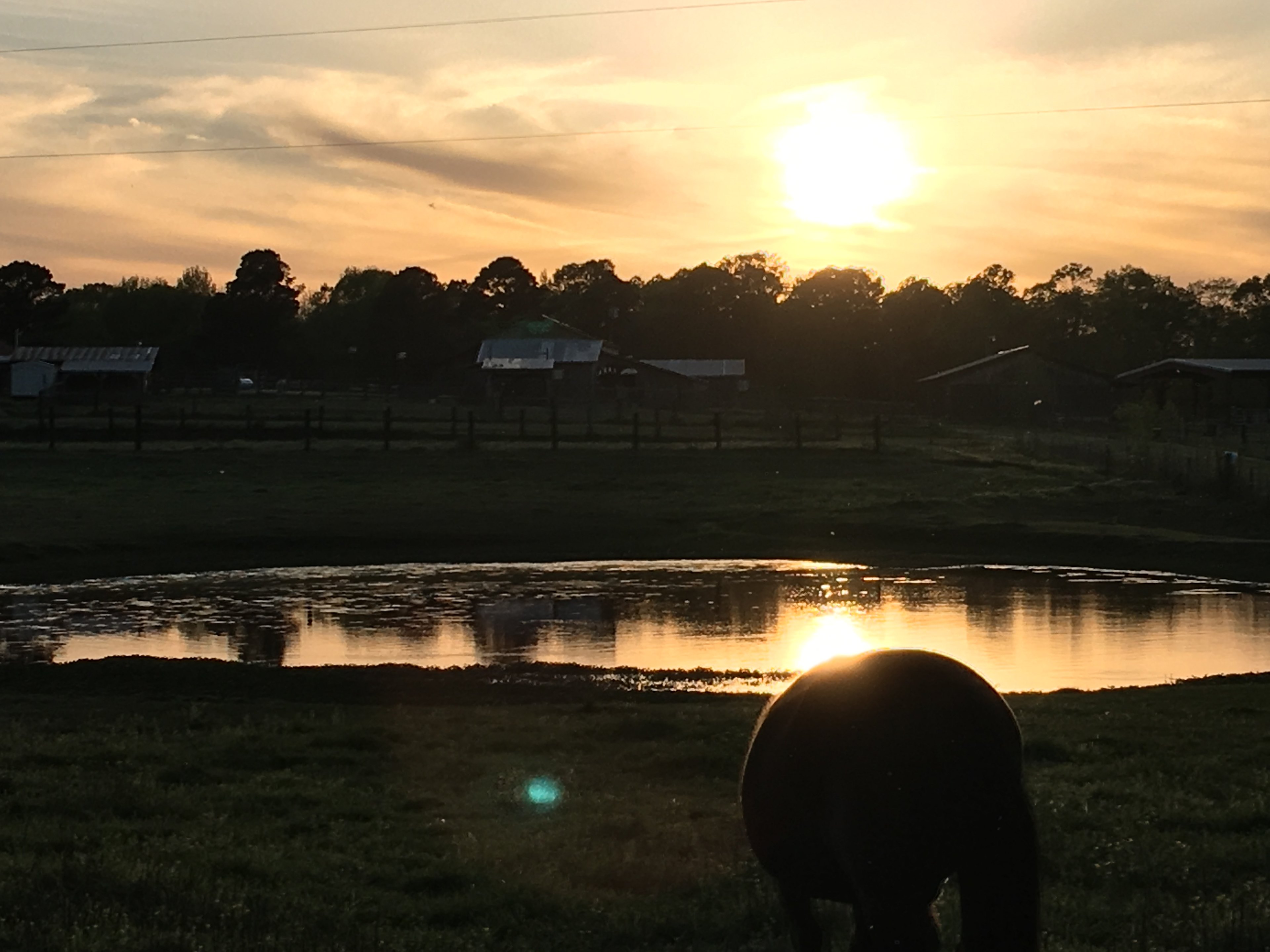 Secluded Bar 50 RV/Camp Ground