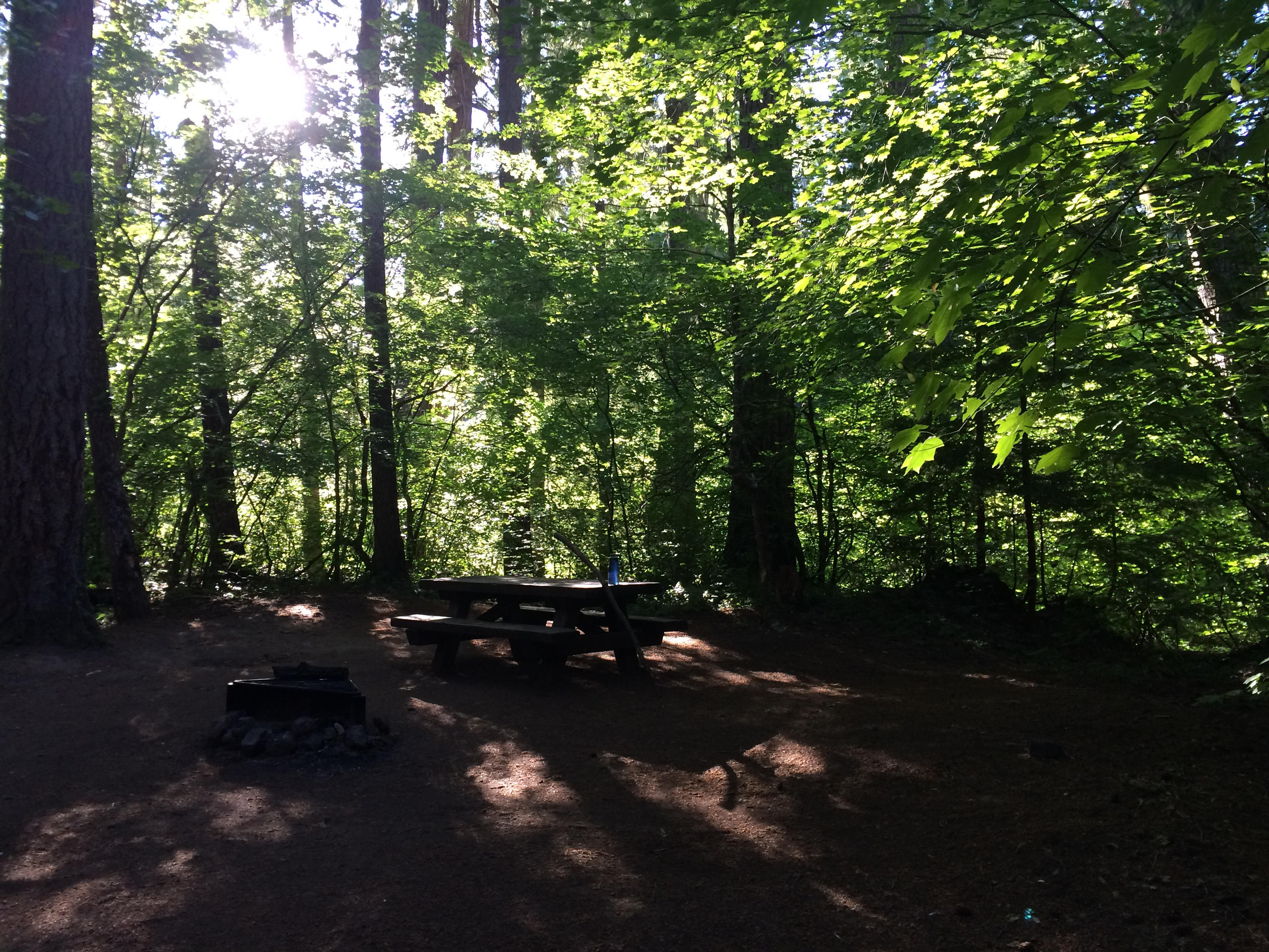 Union Creek Campground