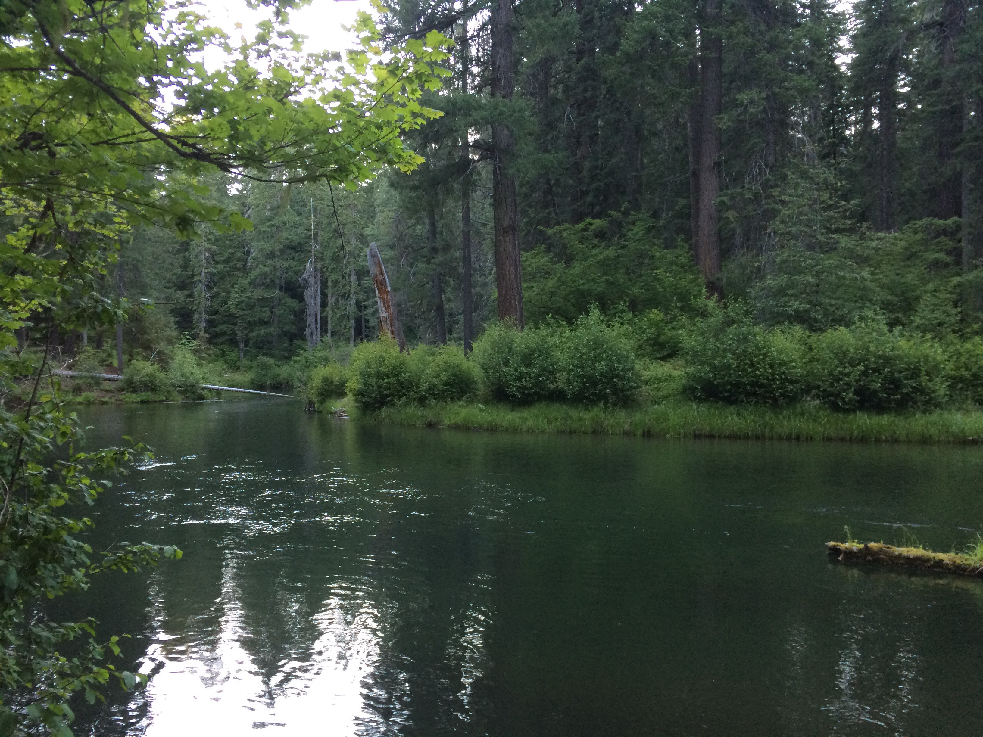 Union Creek Campground