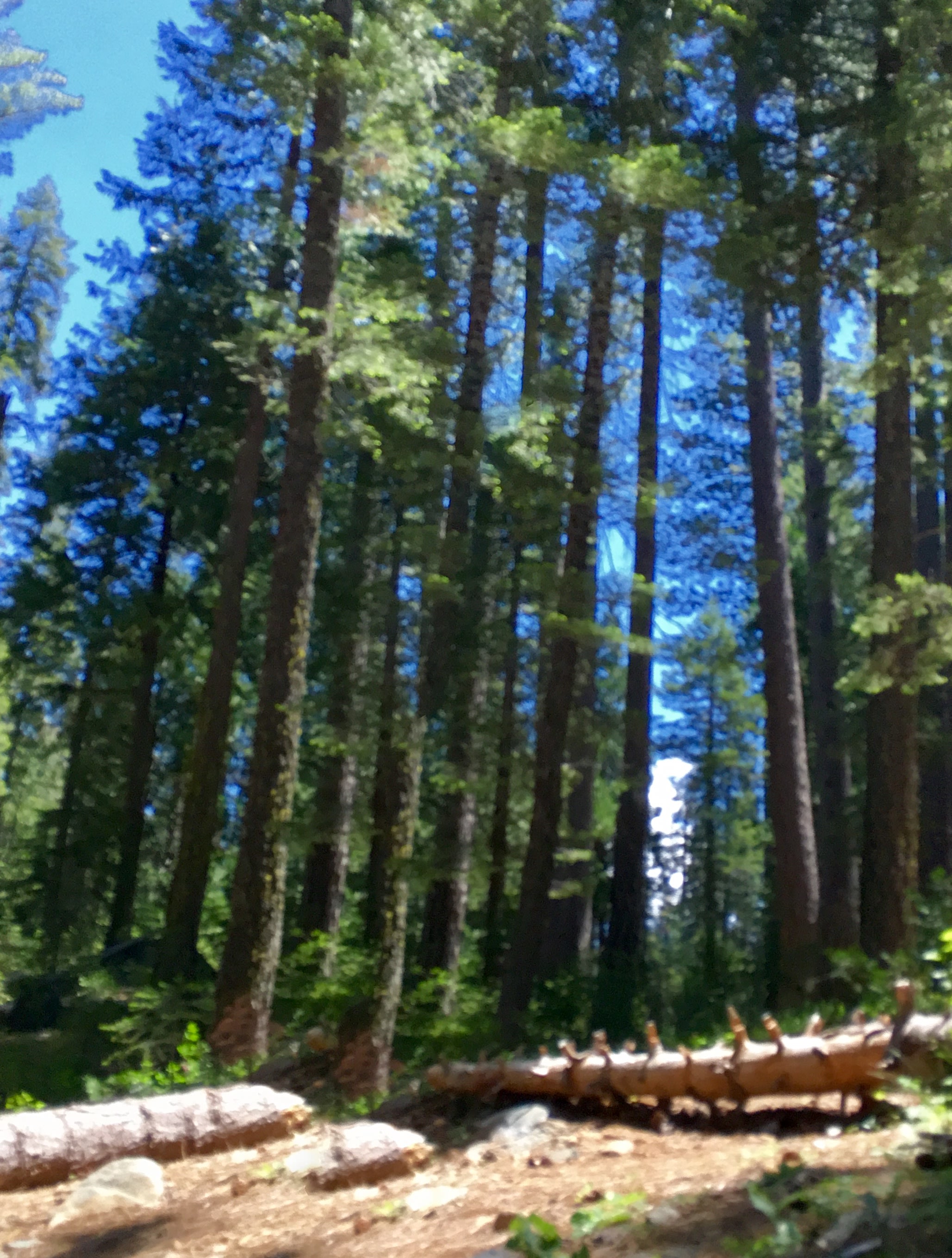 North Fork Campground