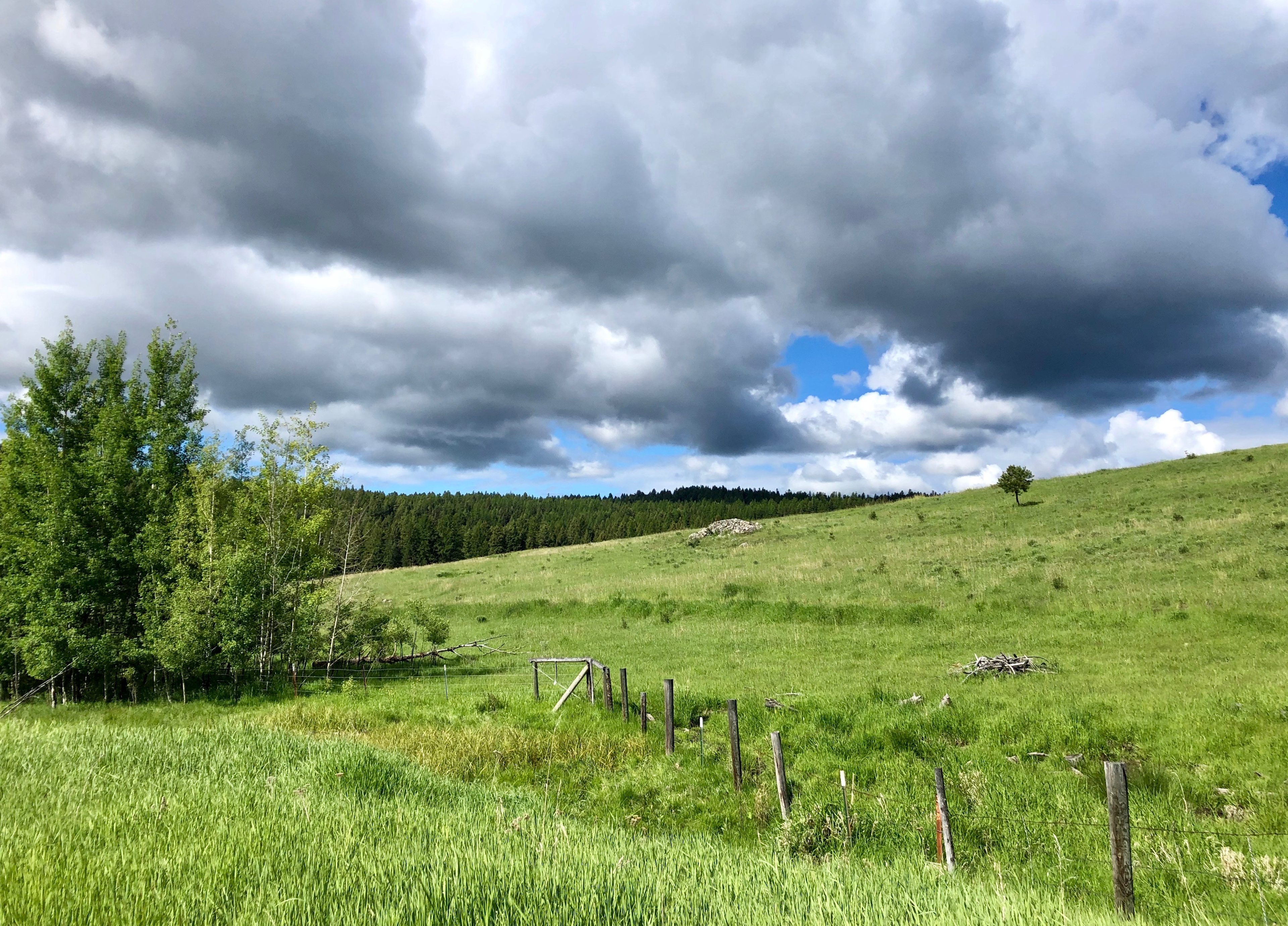 Okanogan Highlands
