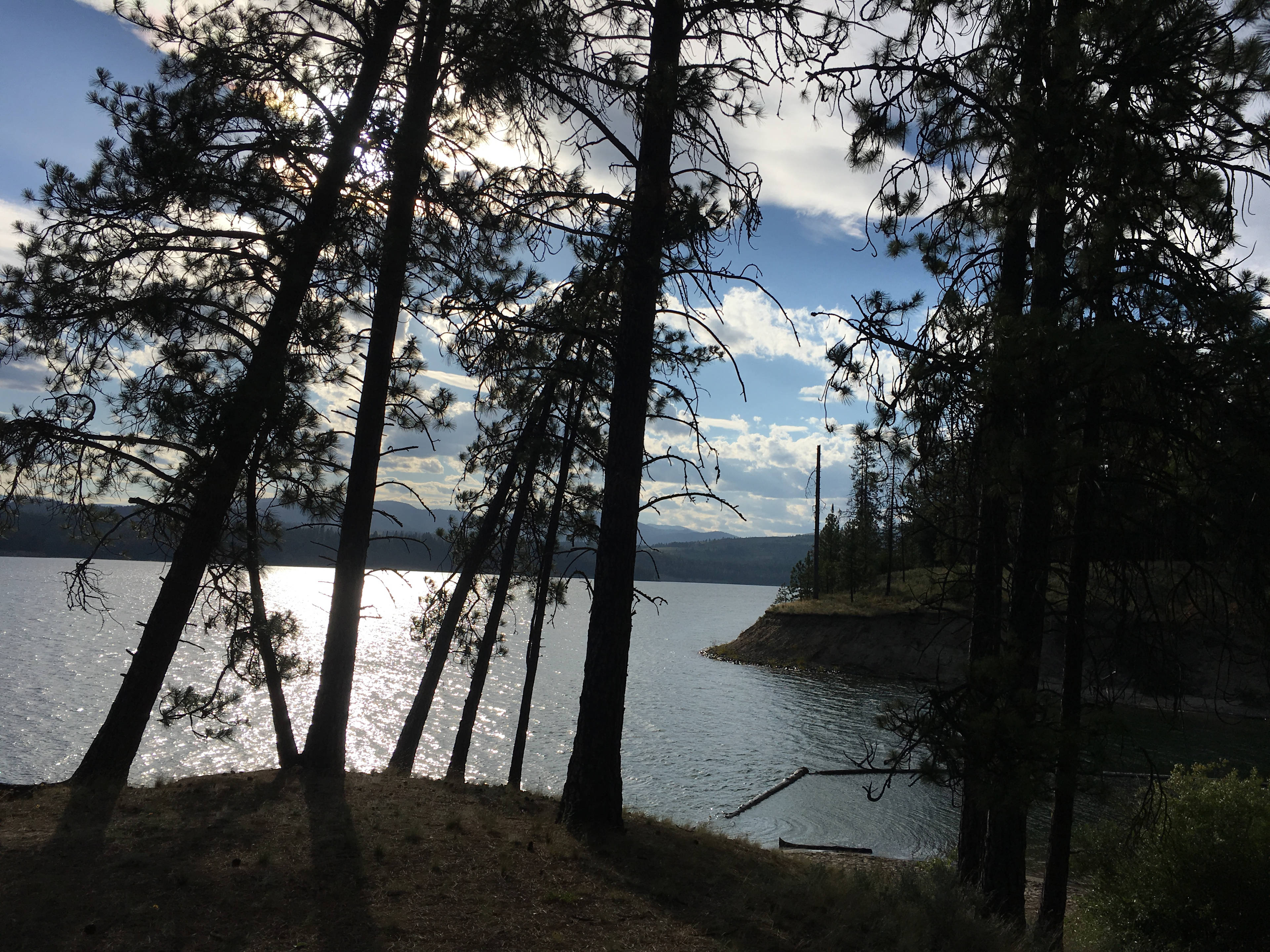 Cloverleaf Campground