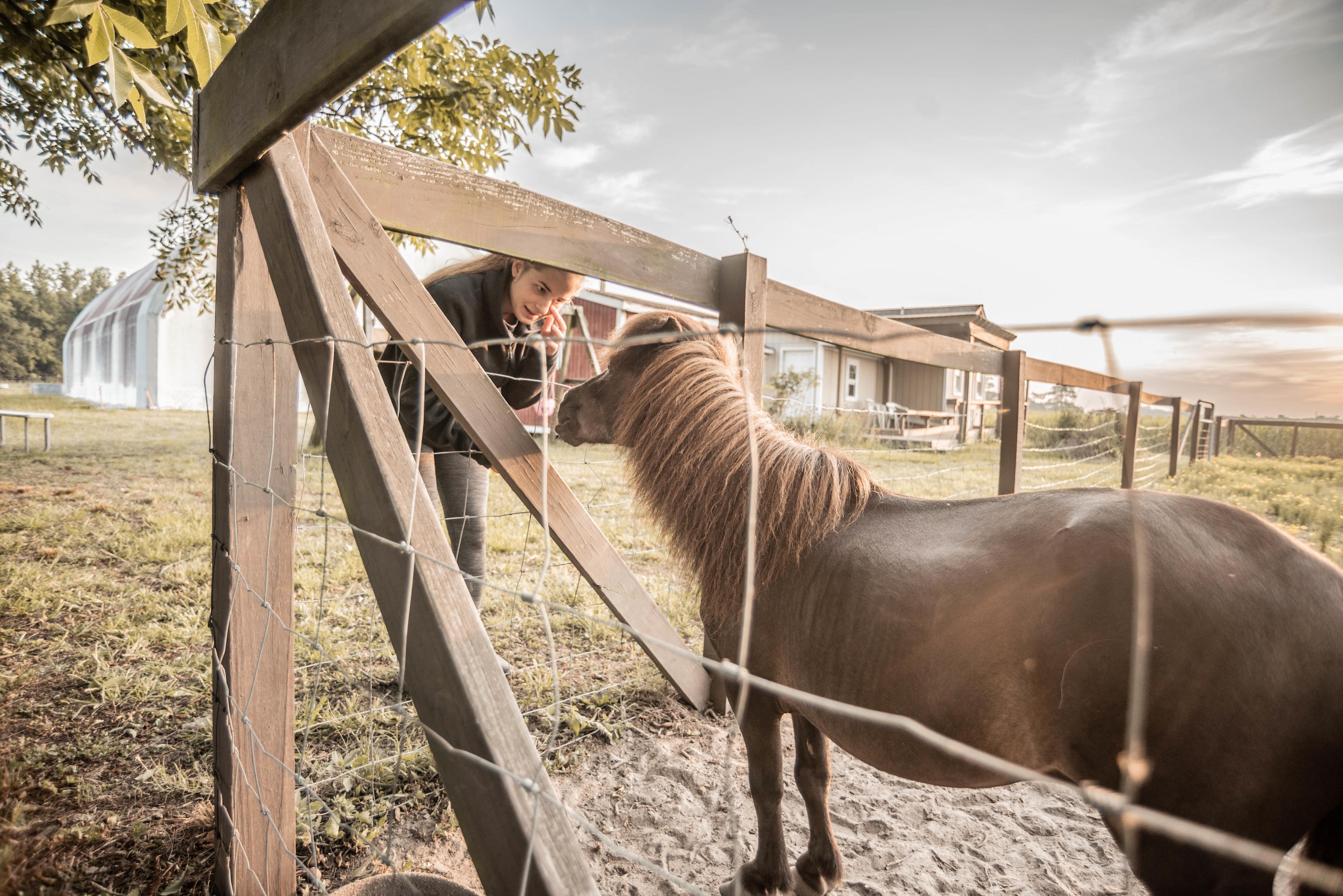 Bright Star Farm