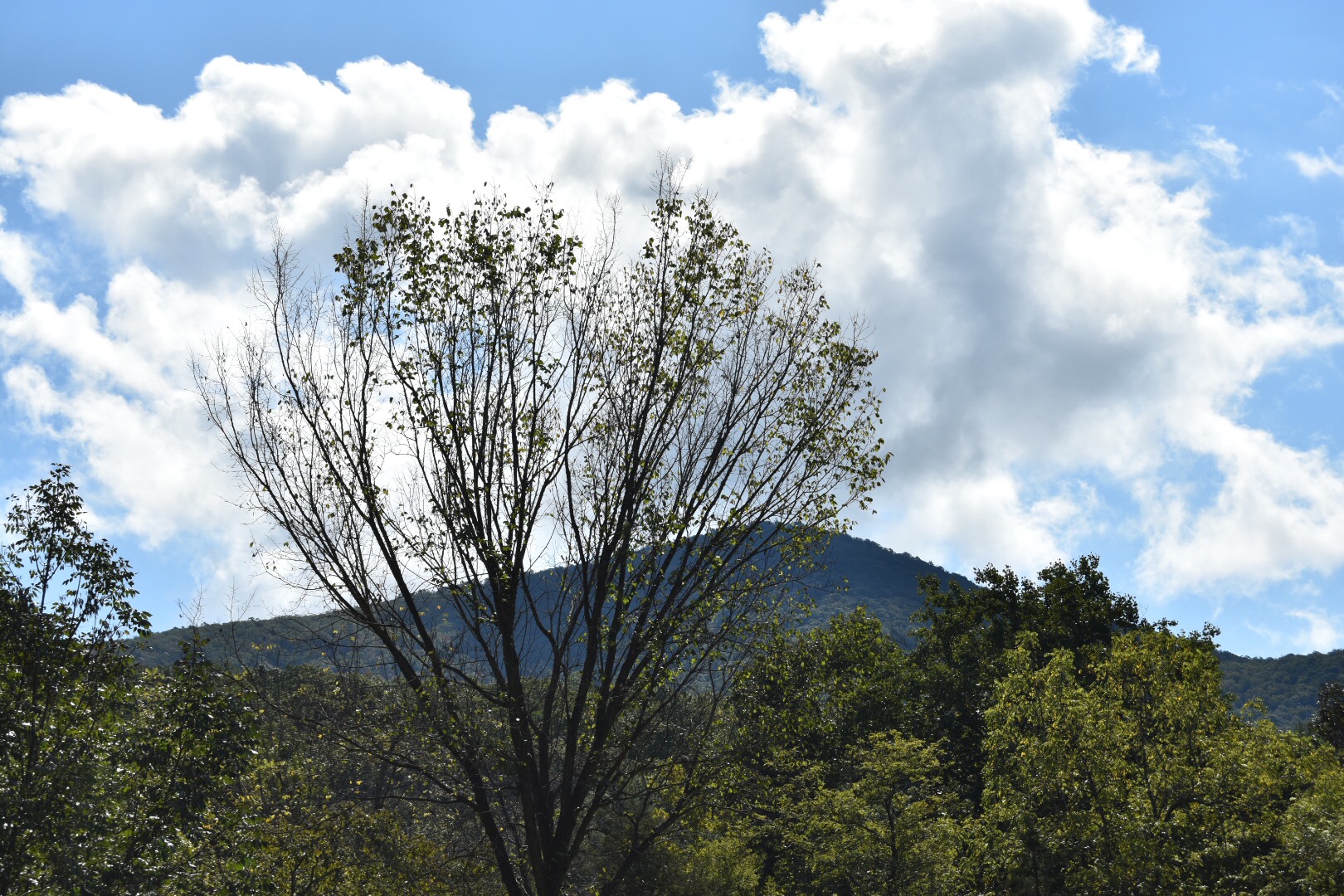 Kennedy’s Peak 