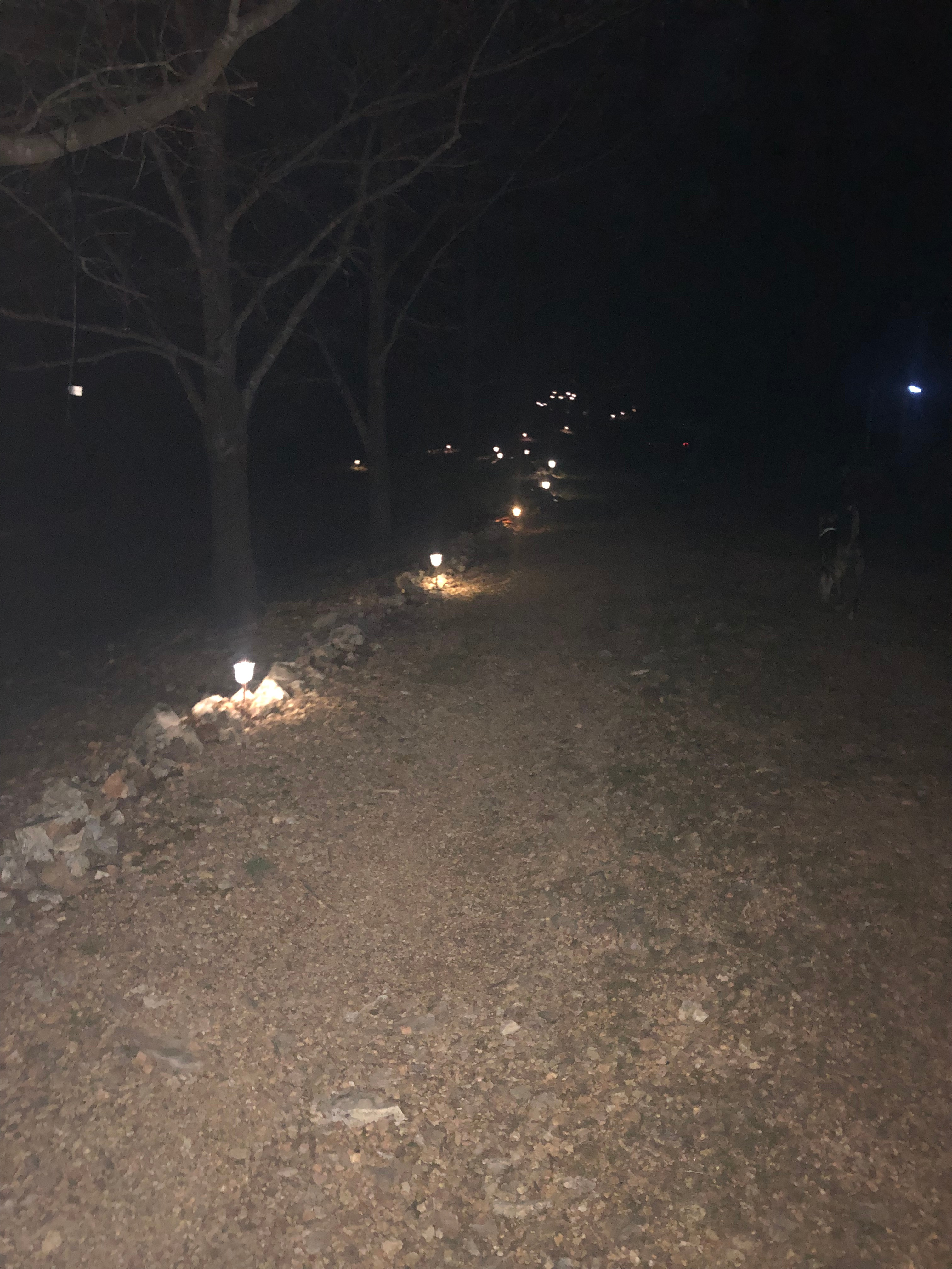 Solar lights on the path.
