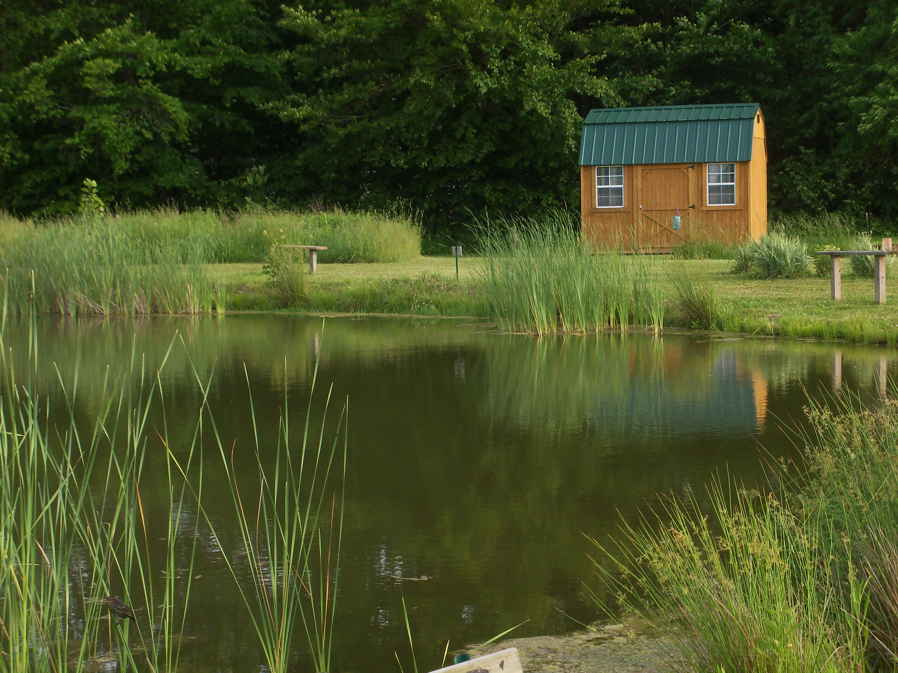 cabin view from across the pond