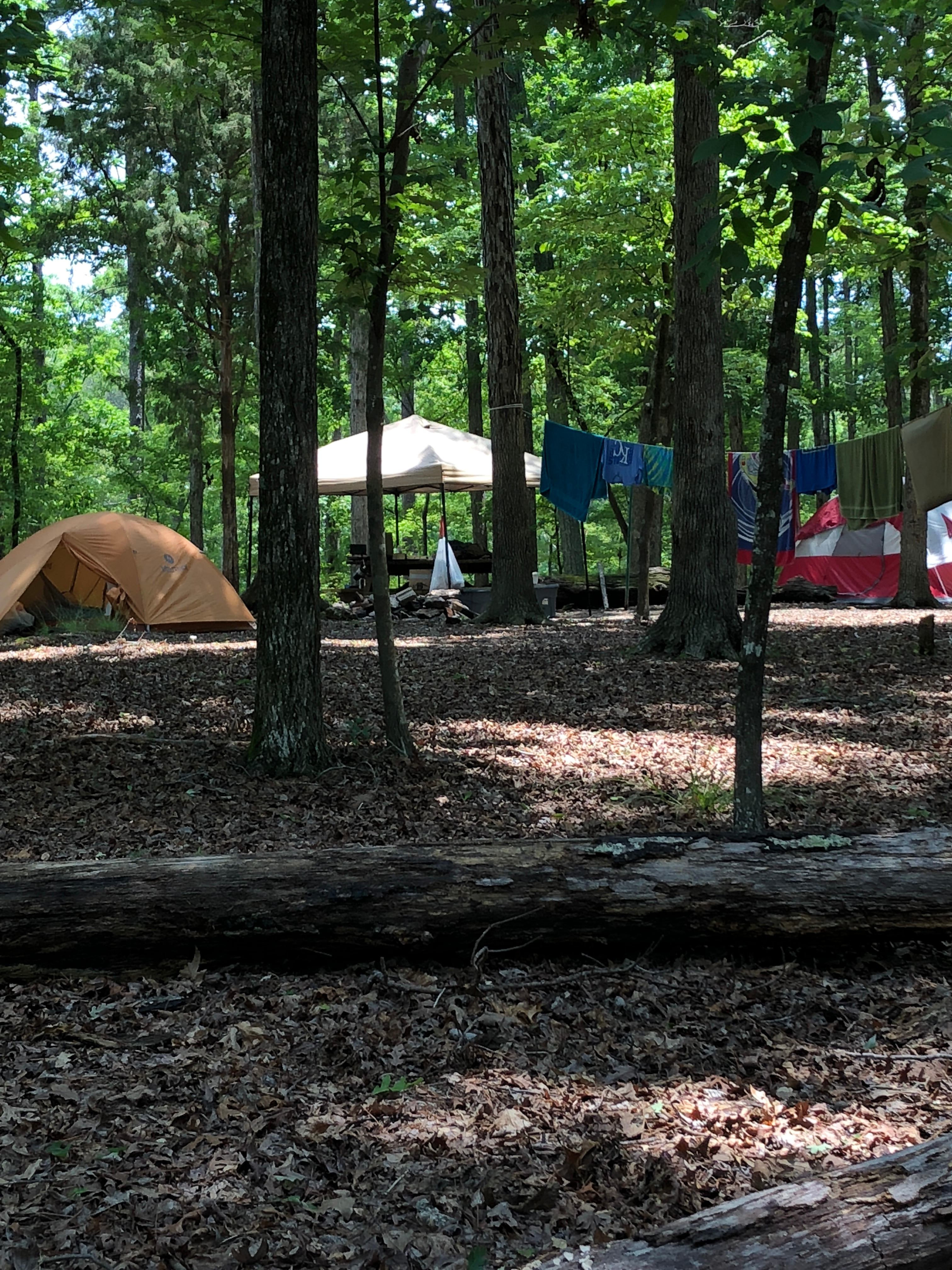 Primitive Campsite 1.  Great shade and spacious.  Picnic table provided. Set your clock by the birds and don't miss the fire fly show at 9:00 each night.  