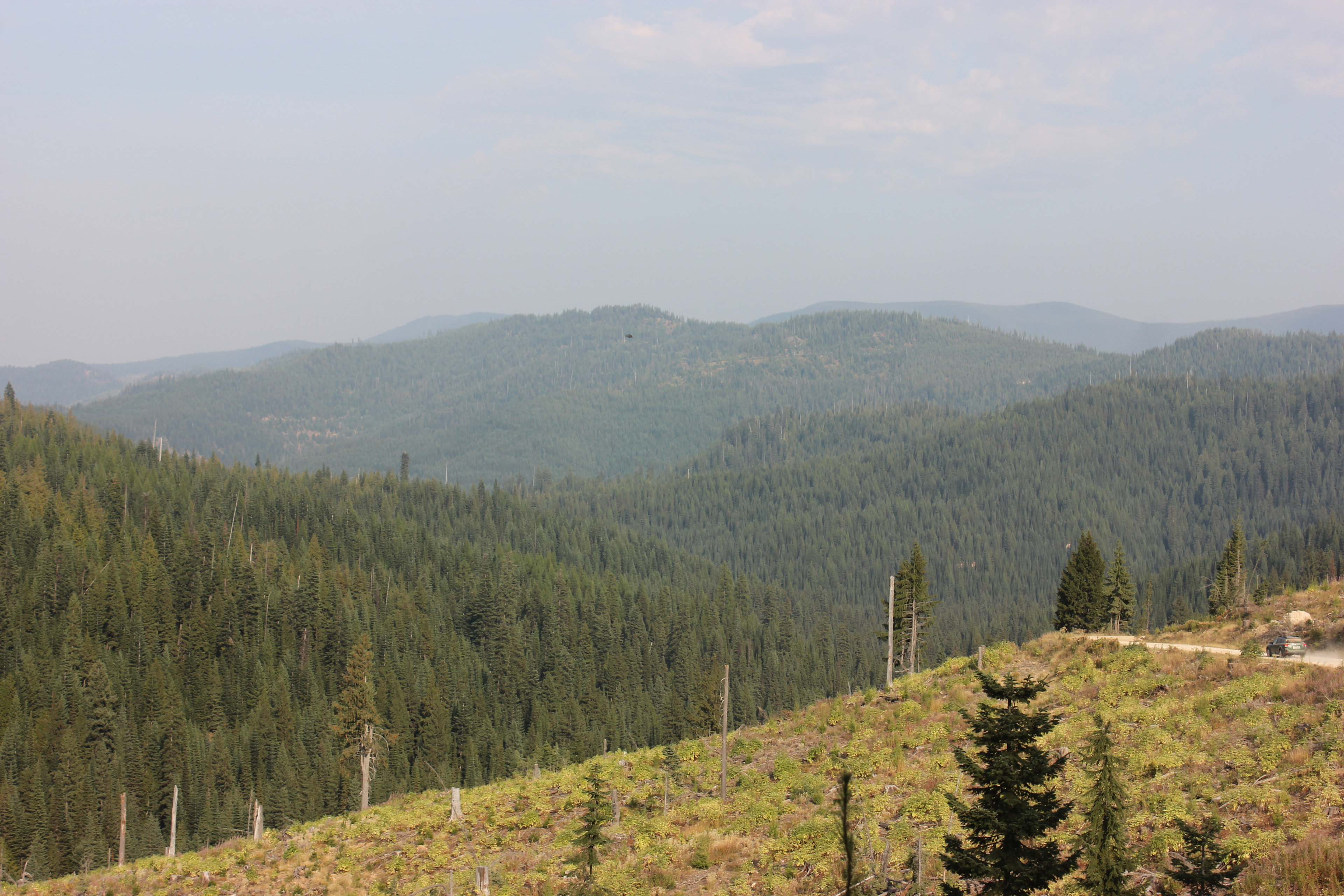 There were fires at a distance, but we had come up to get out of the smoke in E WA and N ID