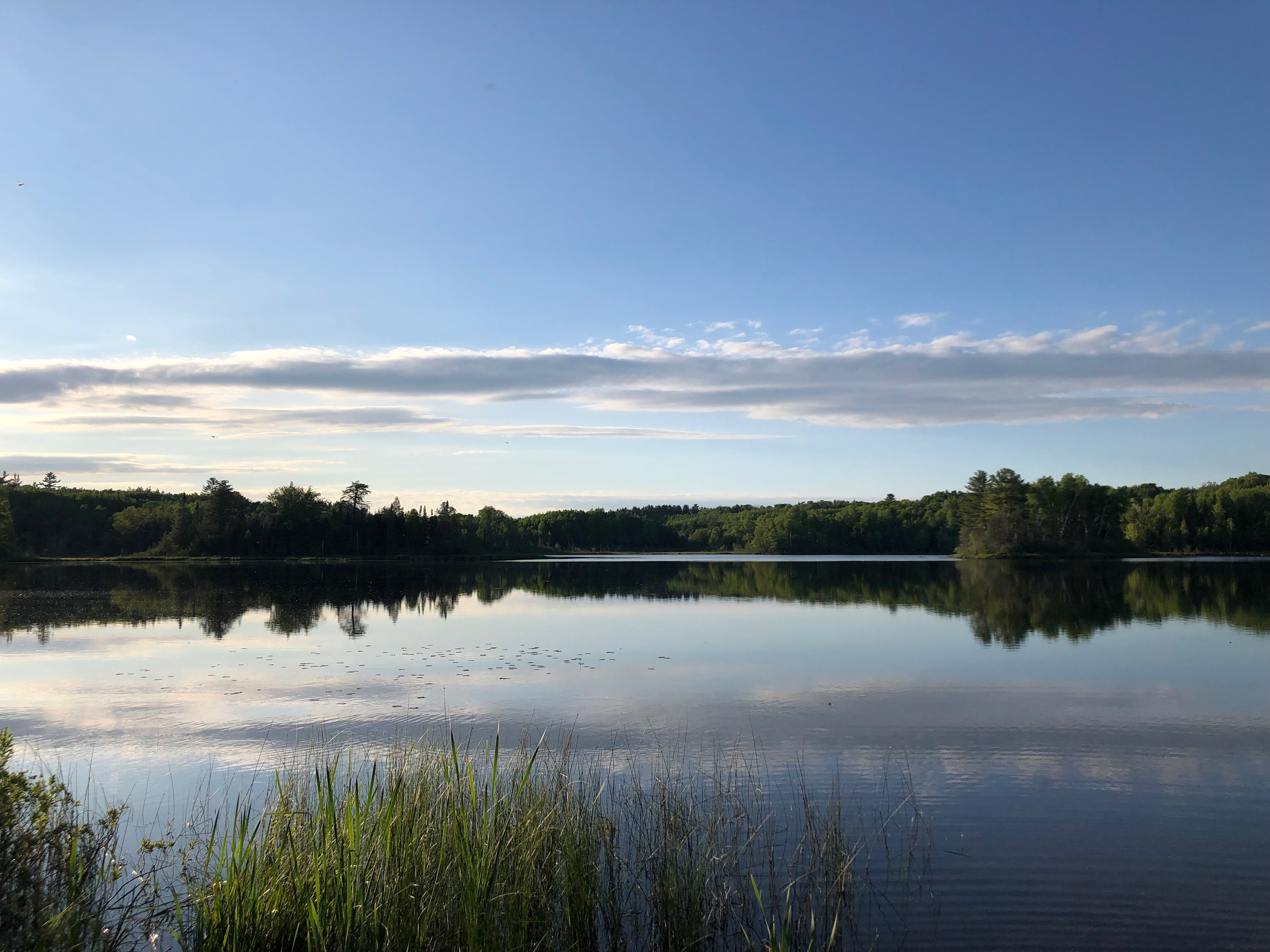 Cookson Lake Dispersed Campground