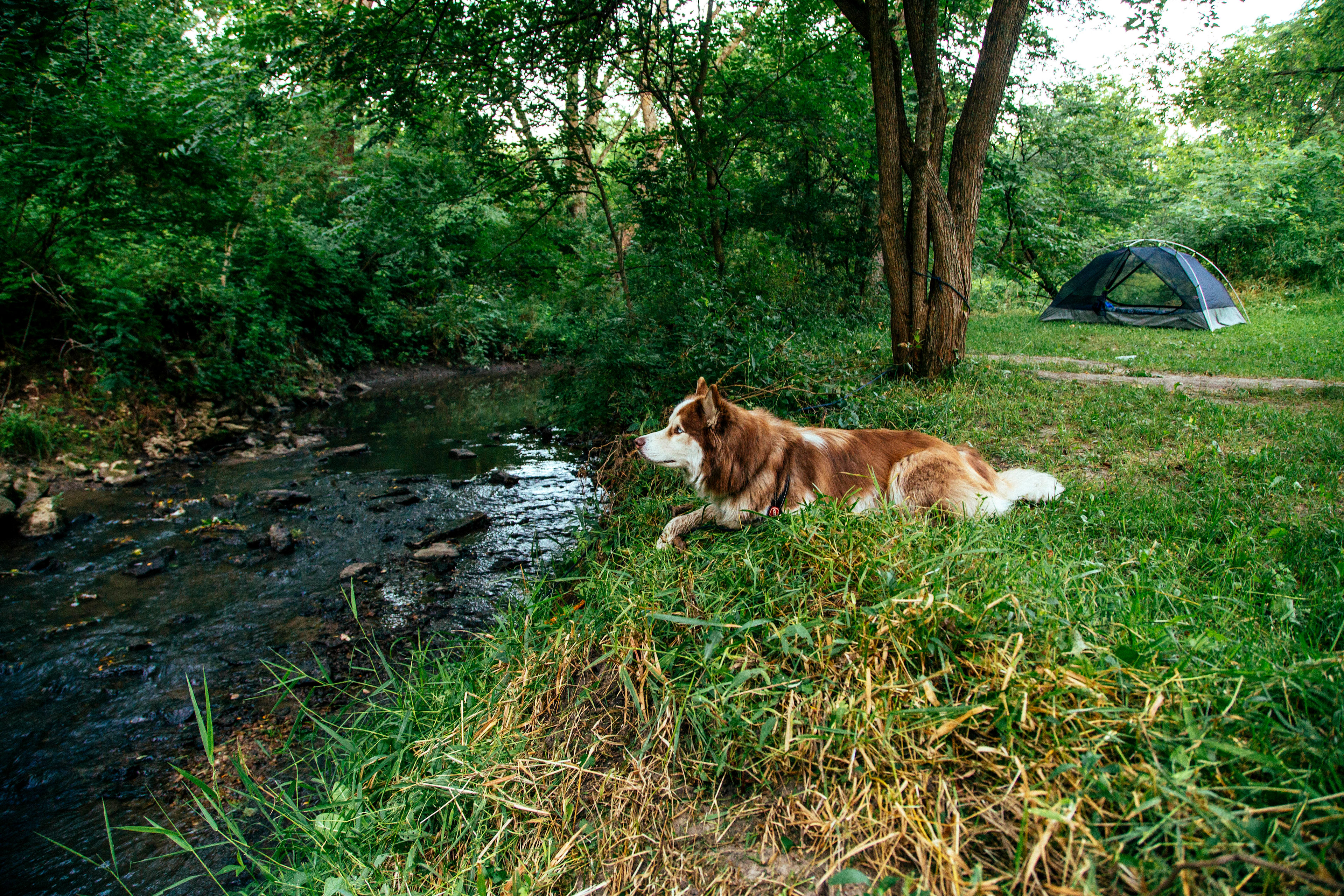 Shadybrook Camping and RV Adventure