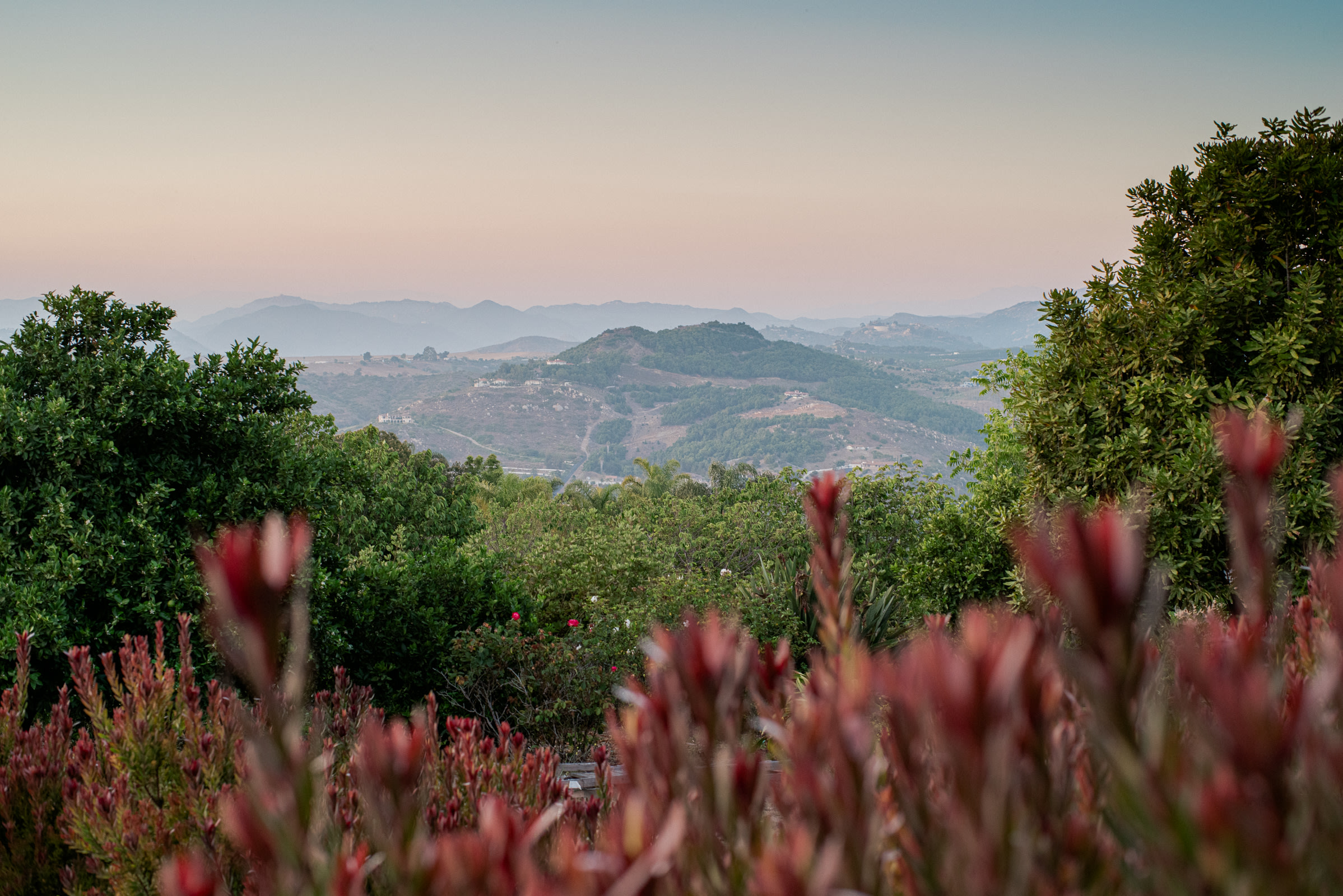 Views from the driveway...