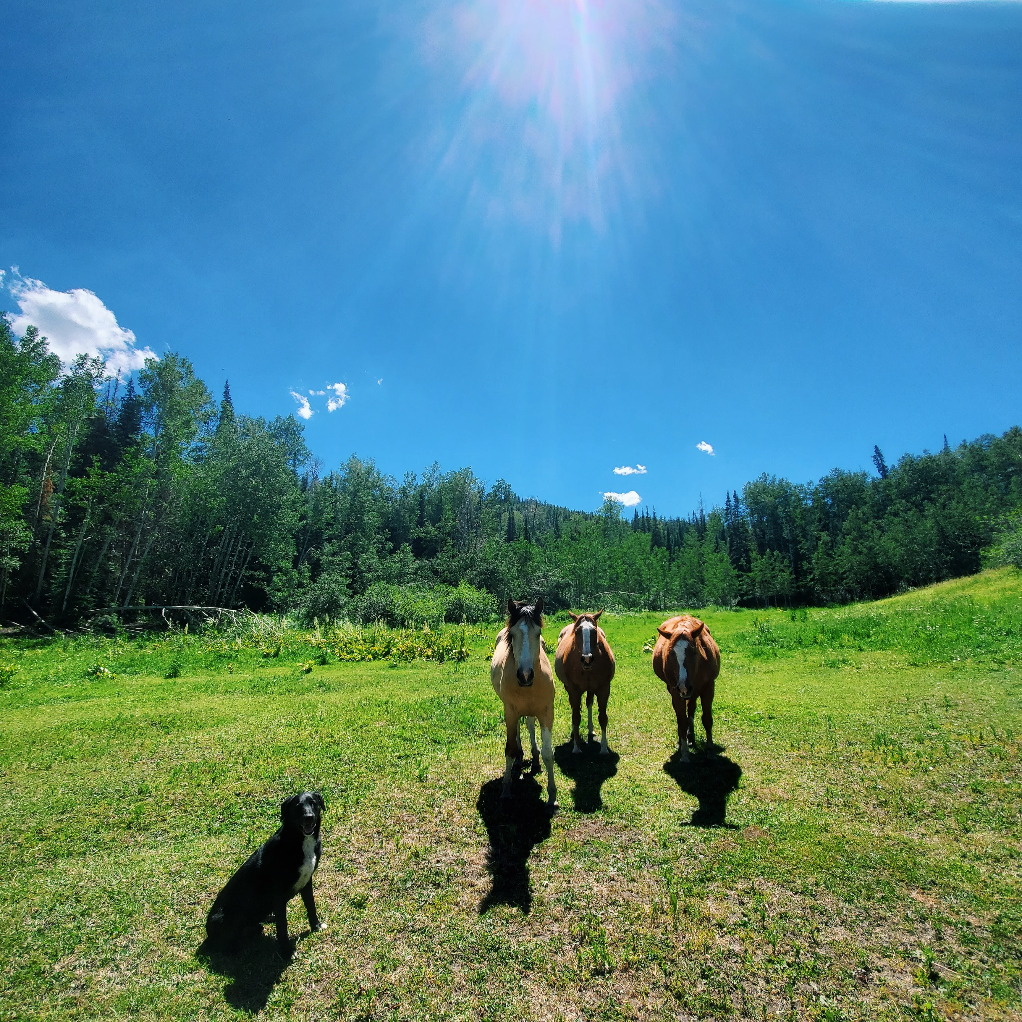 Ute Lodge - At the End of the Road