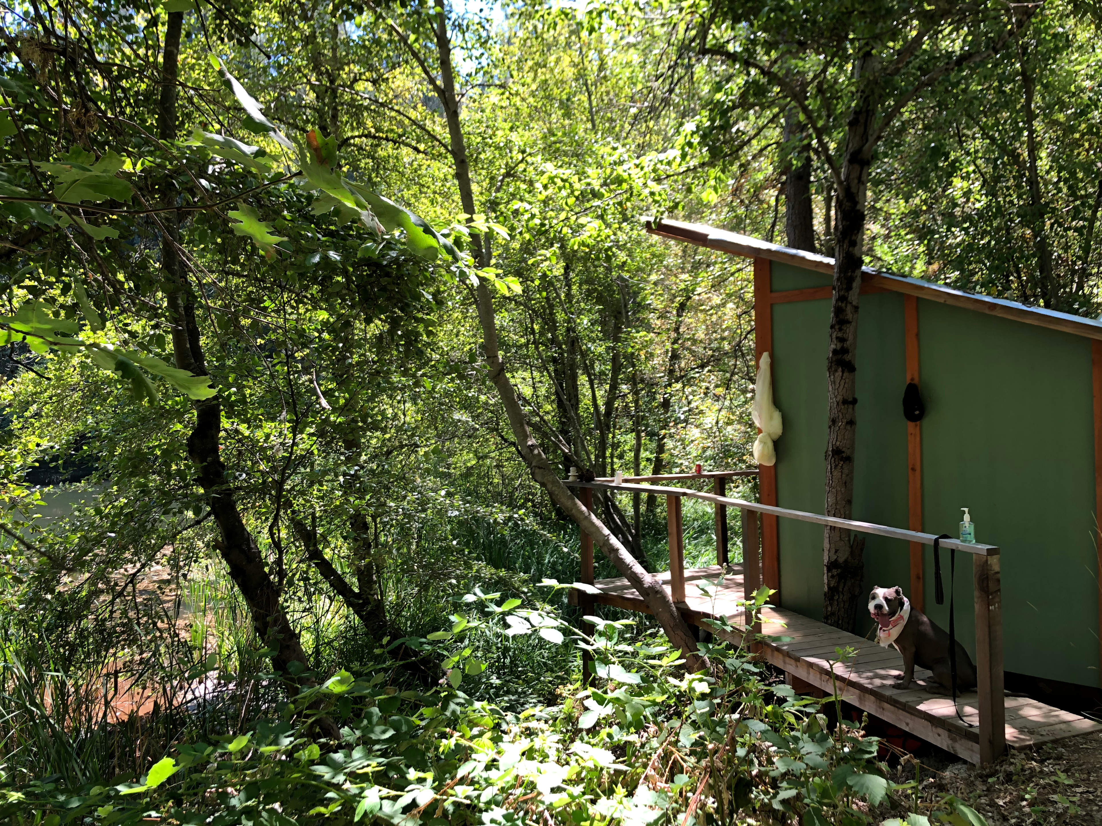 Frolic Pond Cabin
