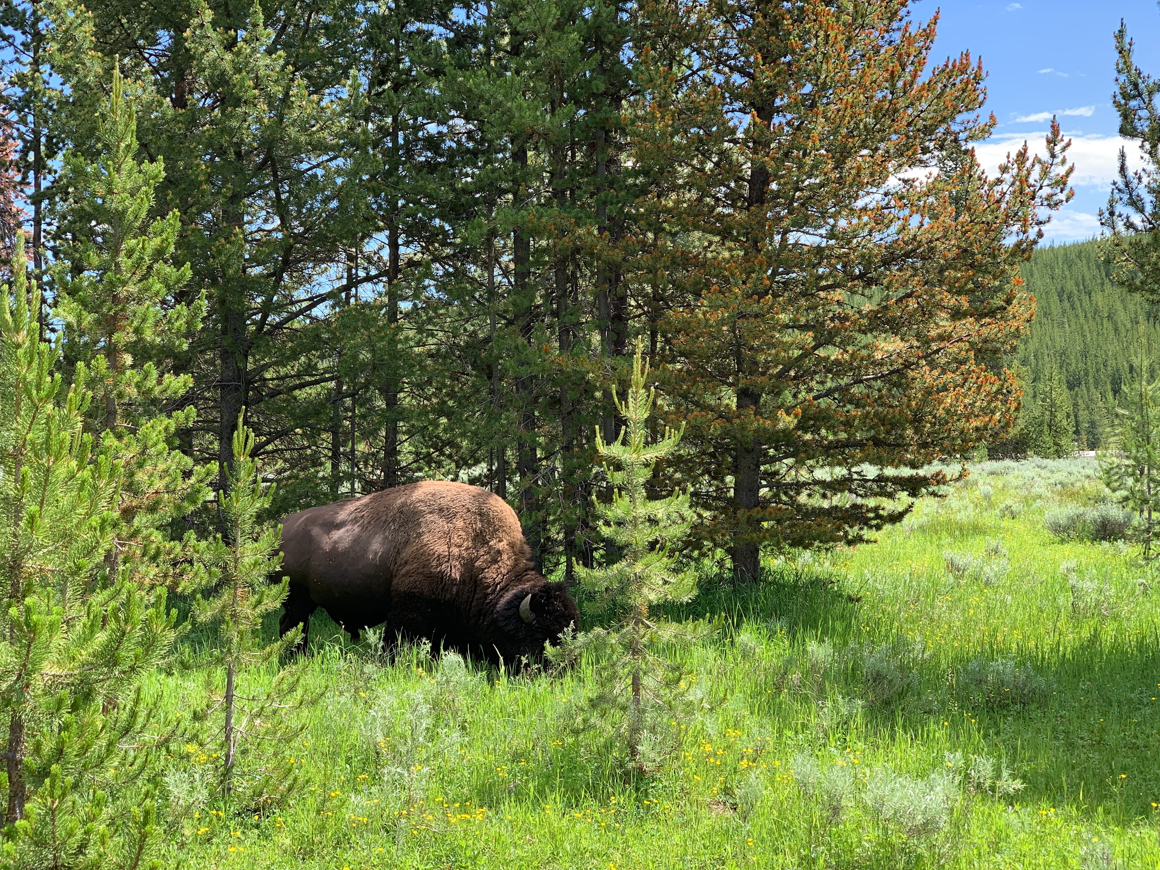 Indian Creek Campground