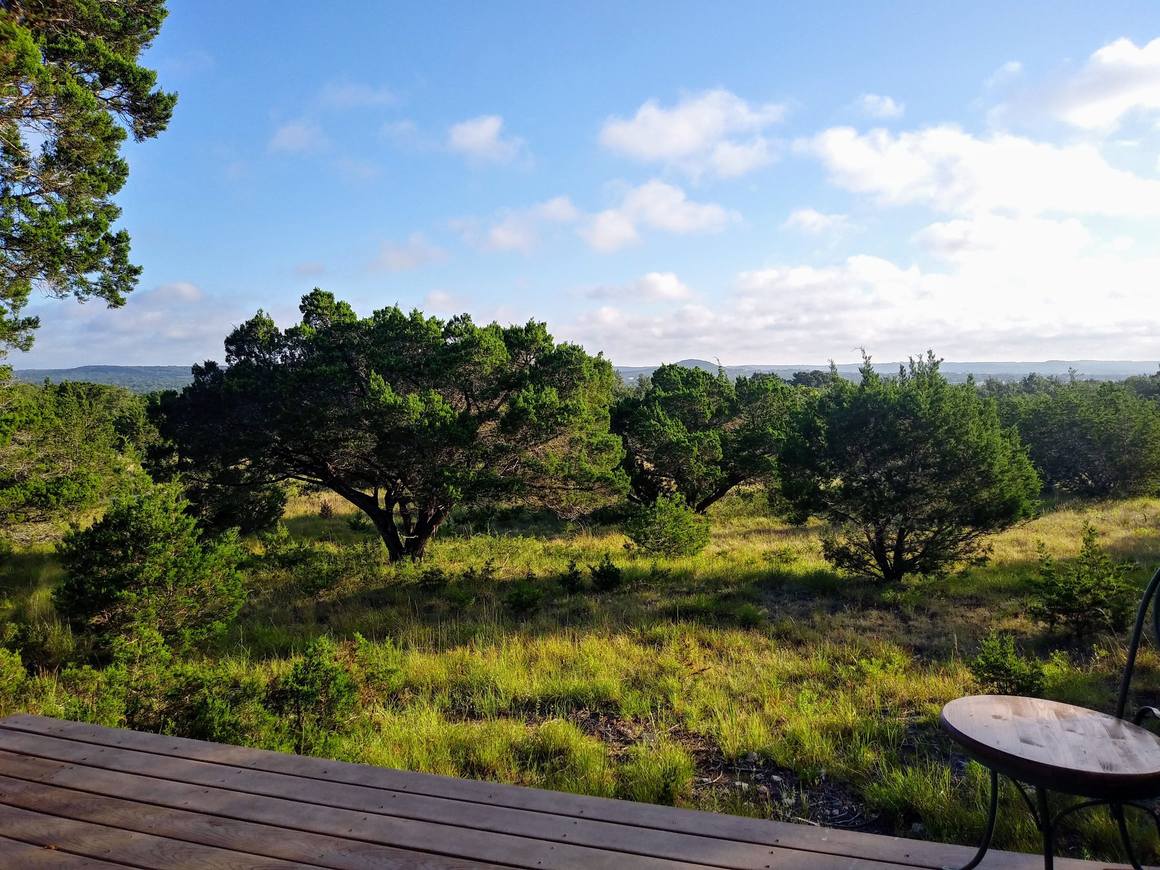 View from the front porch. 