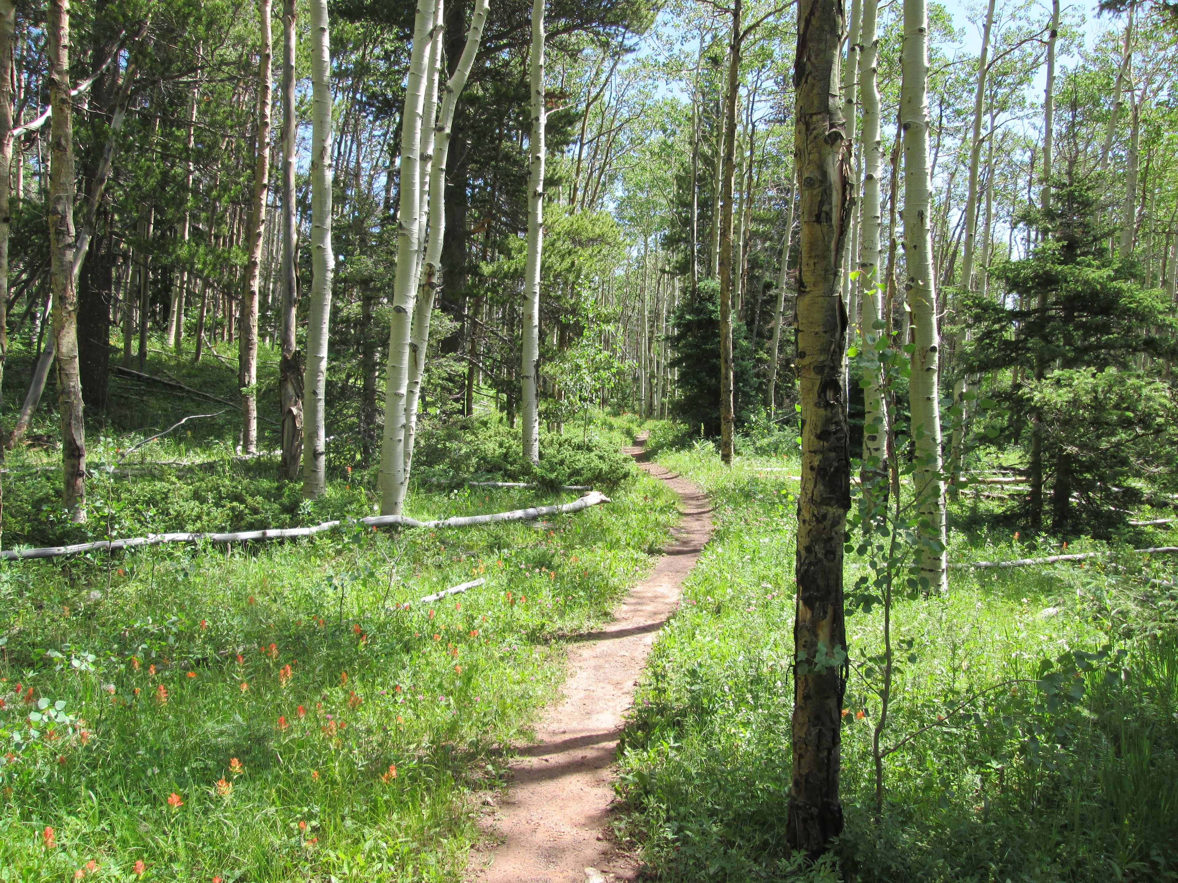 Venable Trail