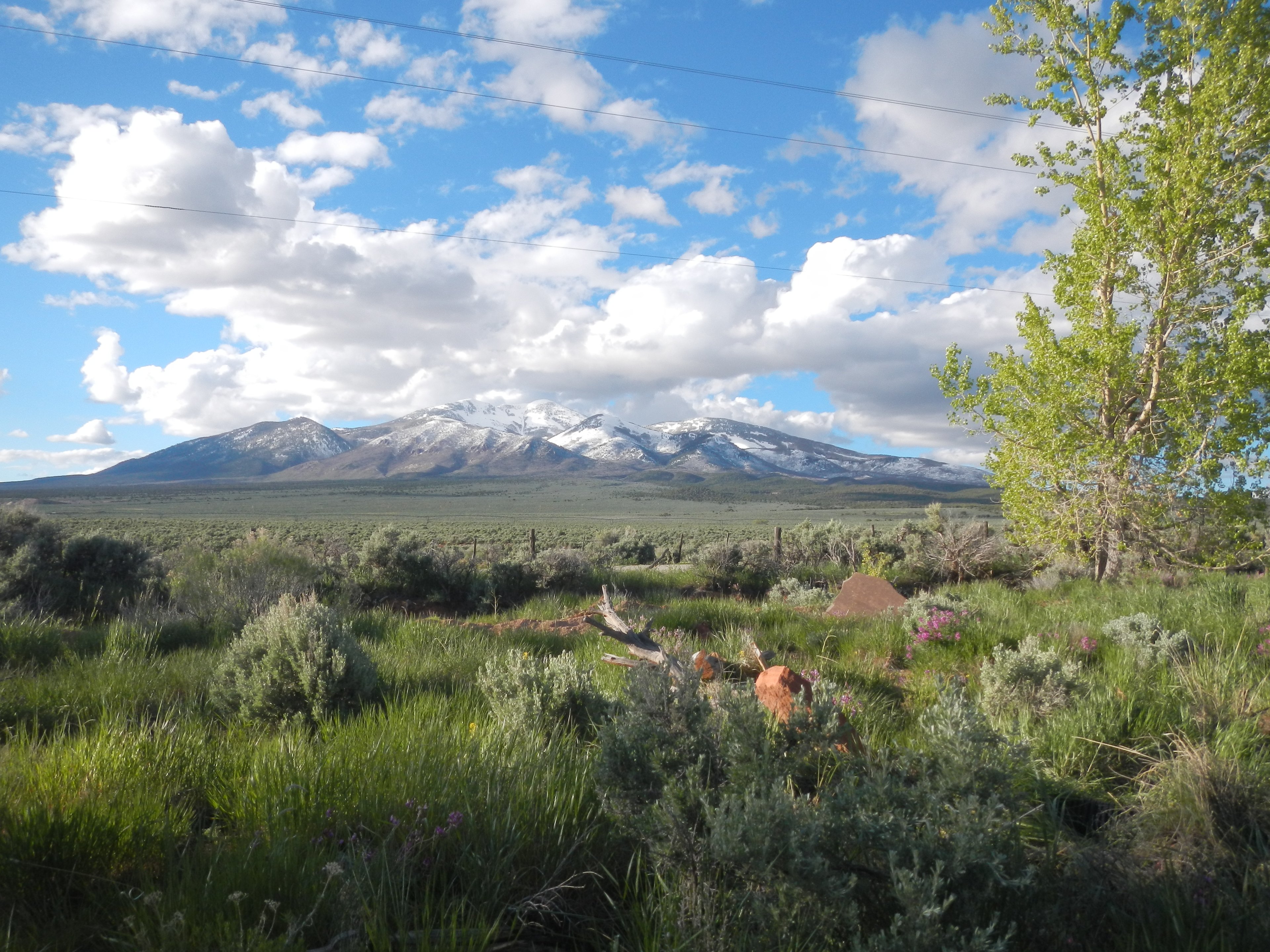 Here is the view to the North. All sites face this way. 