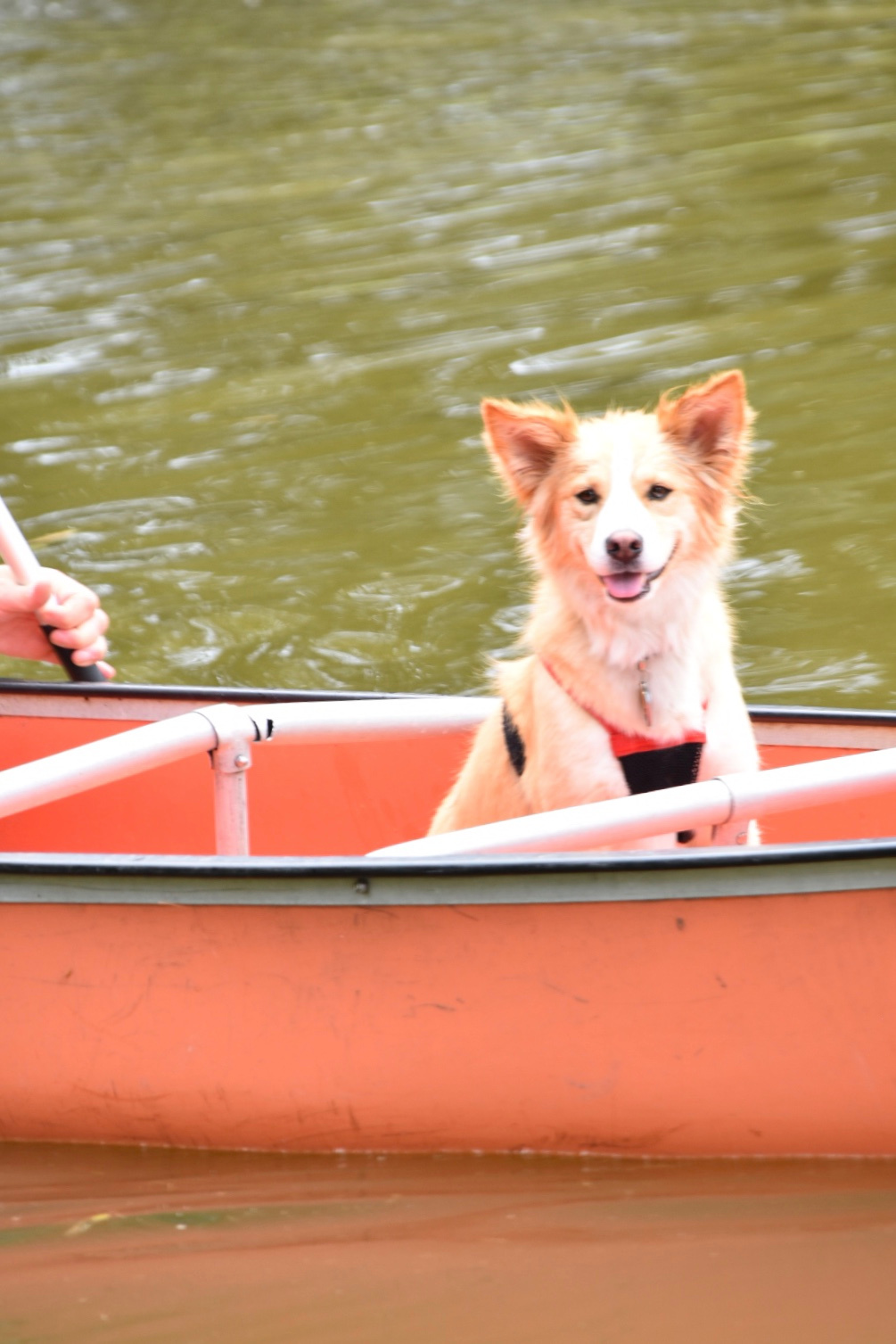 Whitetail Ridge Farm