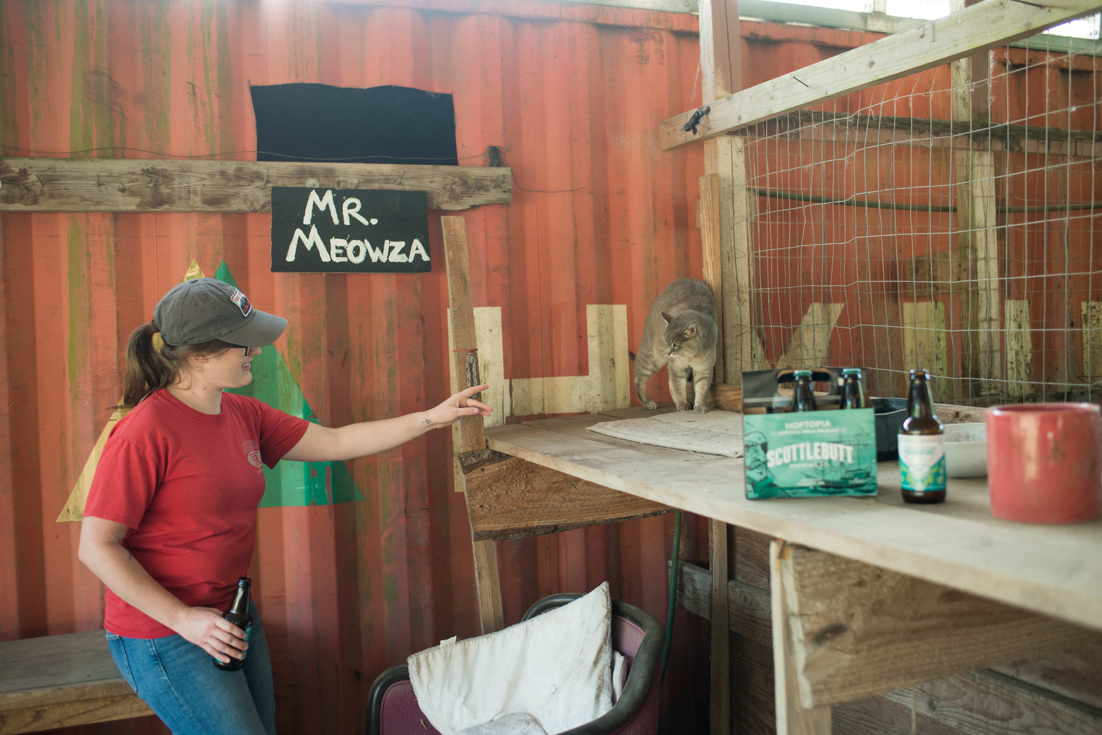 A perfect place to visit Mr Meowza and enjoy a beer or two
