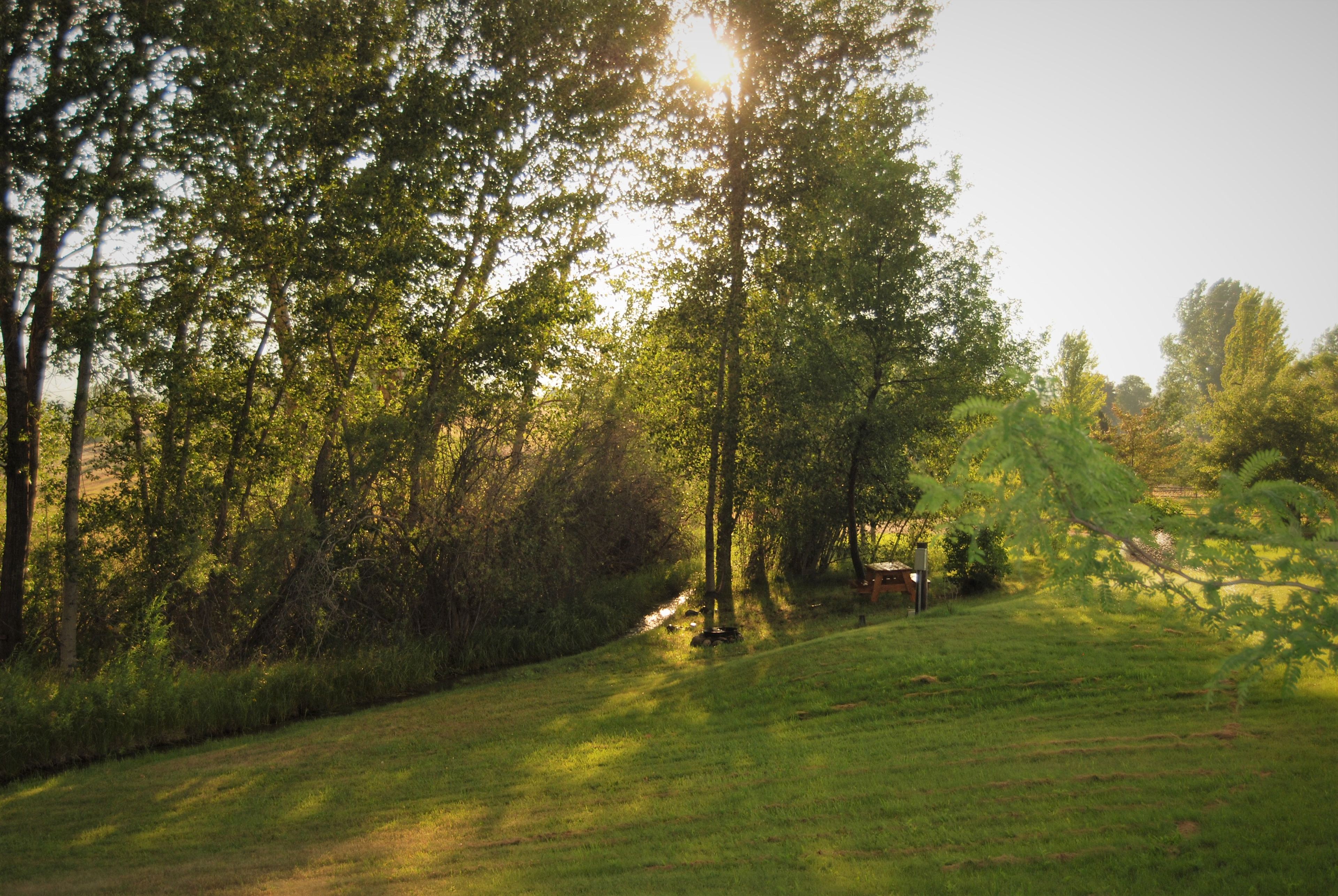 Turning to your right, just past the willow bushes, is a flat spot with 50 amp hookup and potable water.  Your camp site is set among the trees giving you sunshine in the morning and shade in the afternoon and evening.  Perfect!  